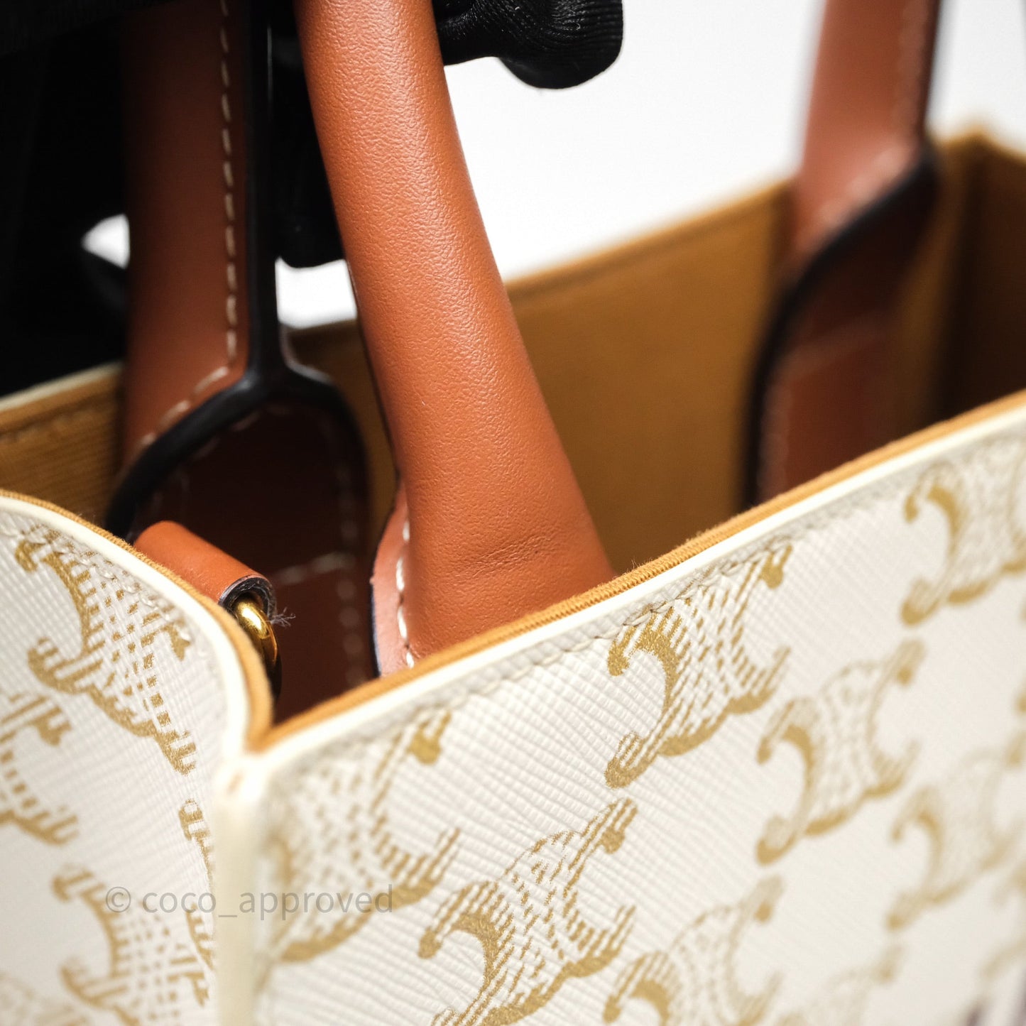 Celine Mini Vertical Cabas Bag Triomphe Canvas White