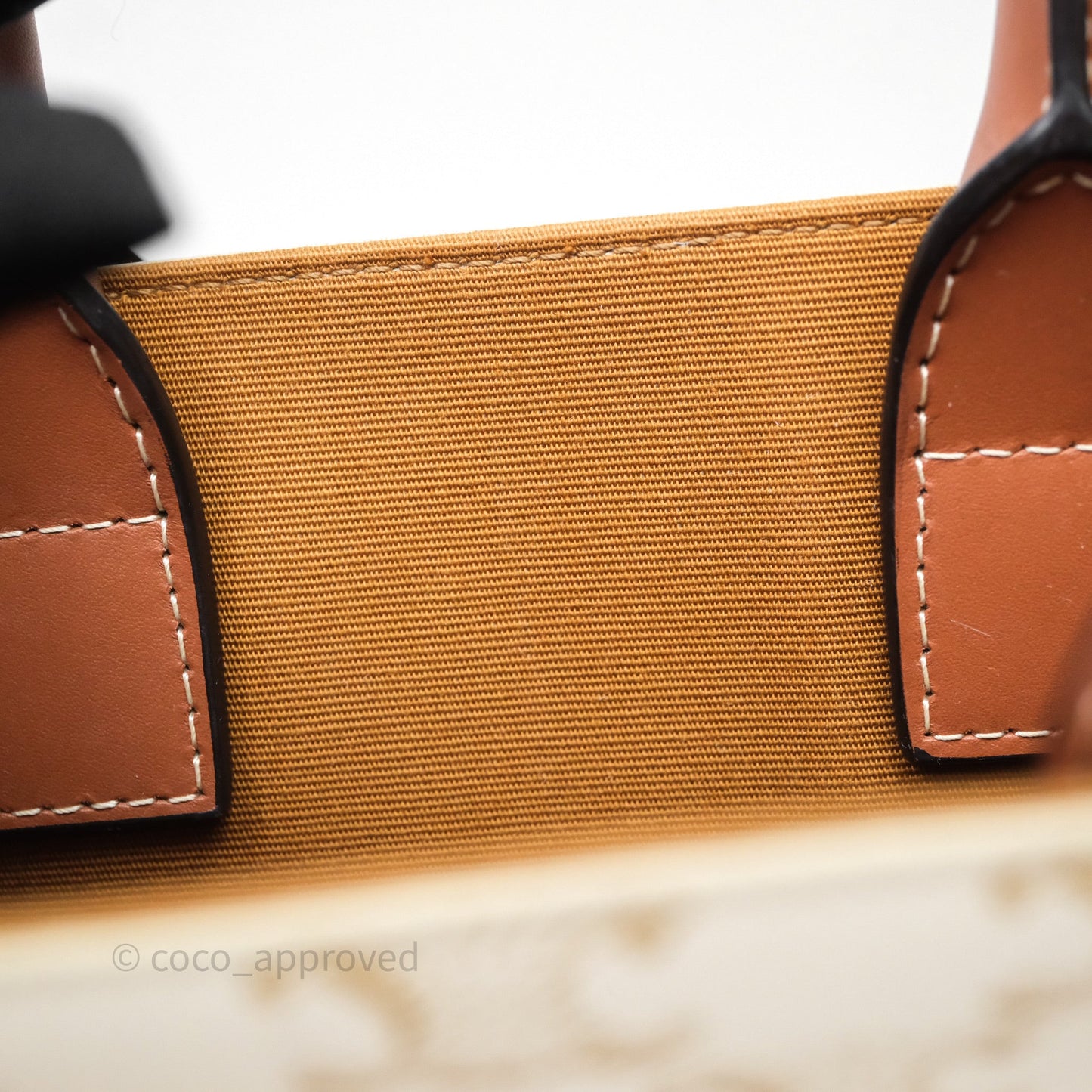 Celine Mini Vertical Cabas Bag Triomphe Canvas White