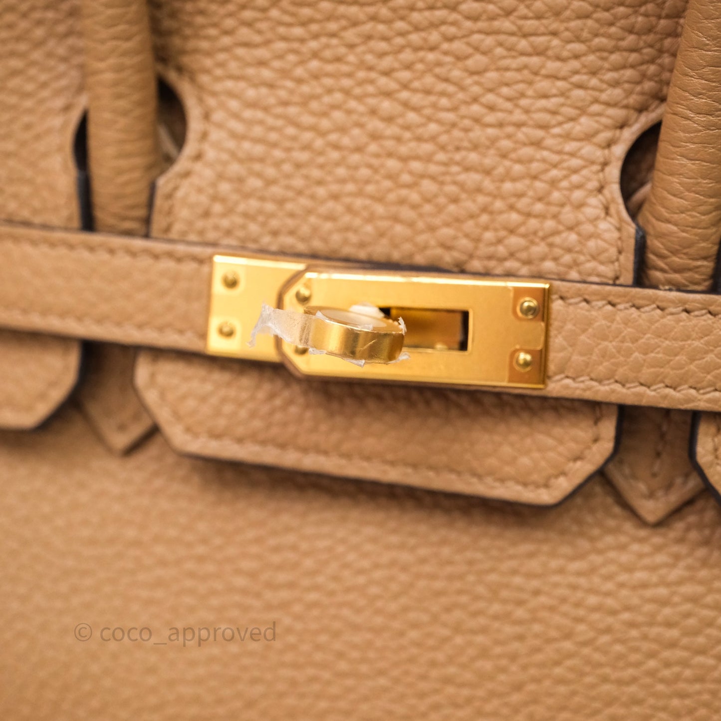 Hermes Birkin 25 Chai Togo Gold Hardware