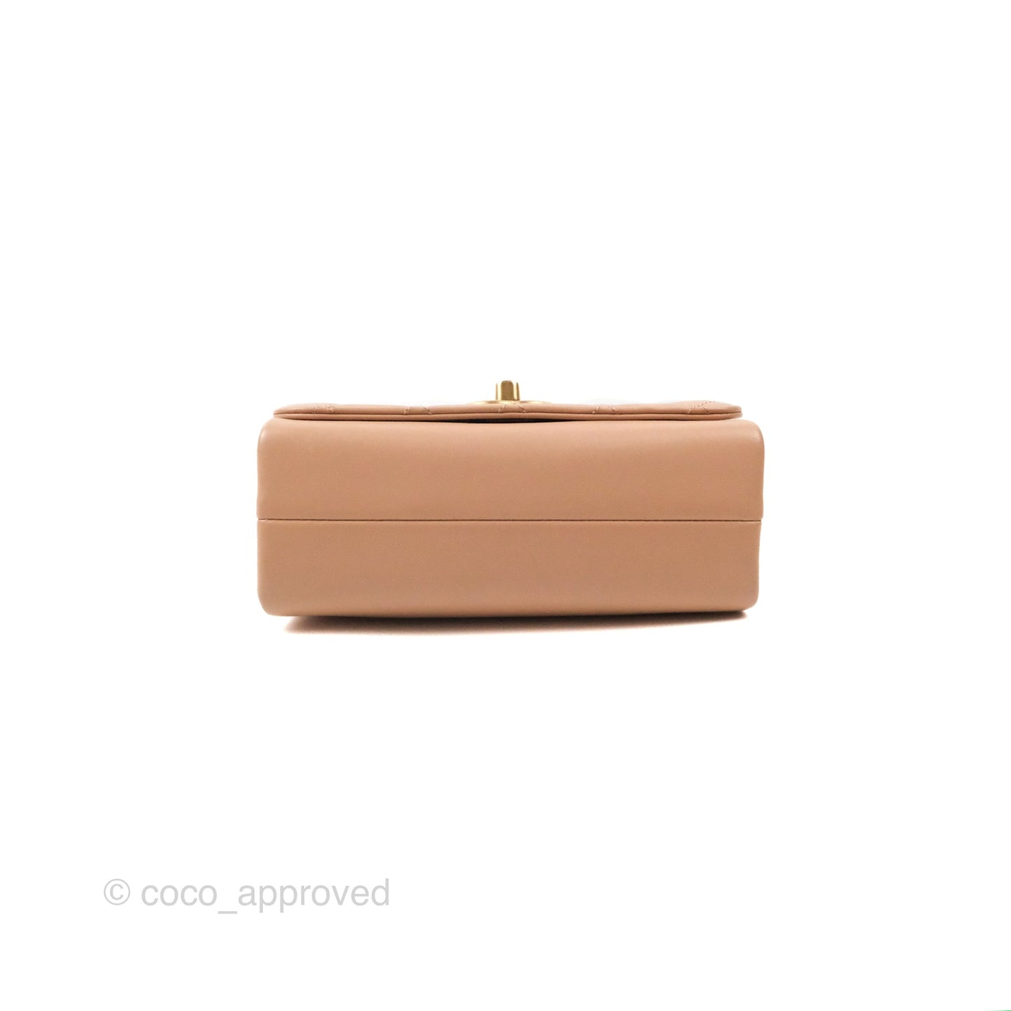 Chanel Pearl Chain Bag Nude Pink Calfskin Aged Gold Hardware