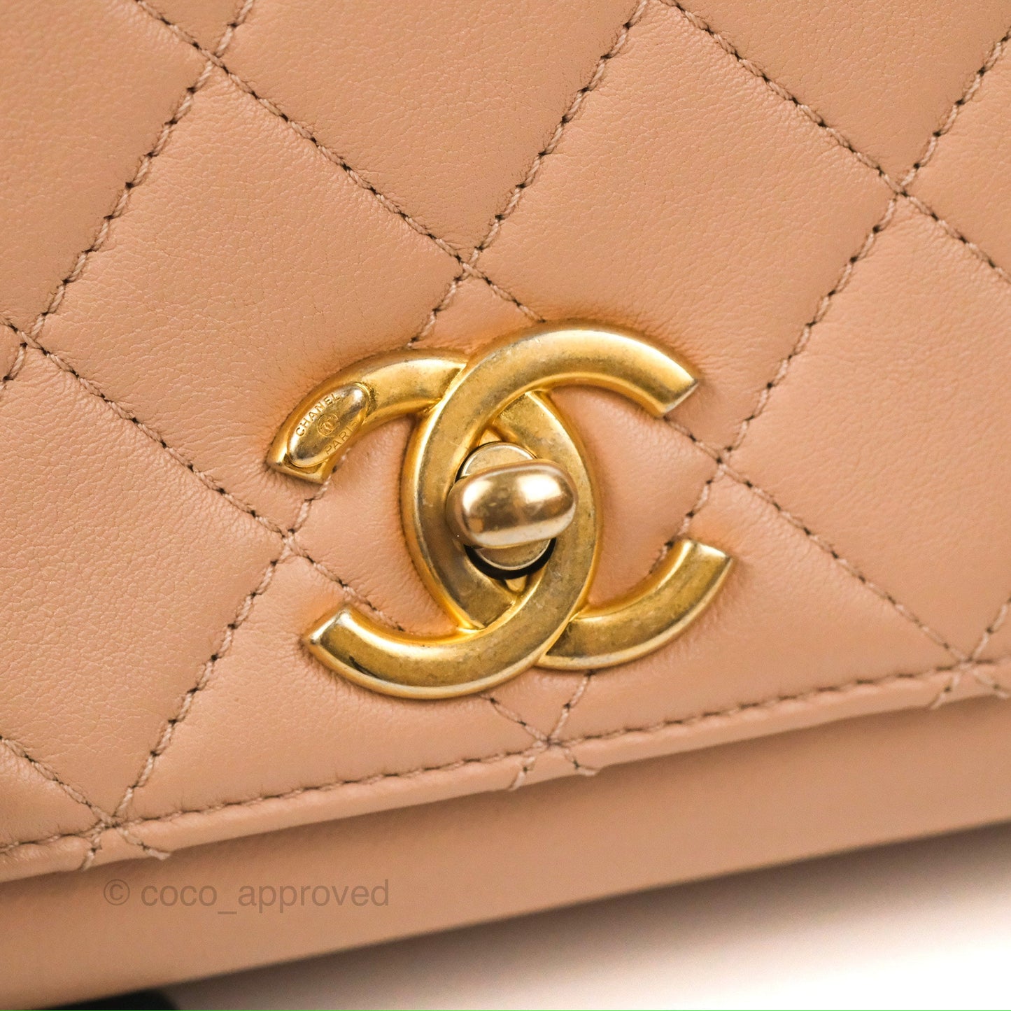 Chanel Pearl Chain Bag Nude Pink Calfskin Aged Gold Hardware