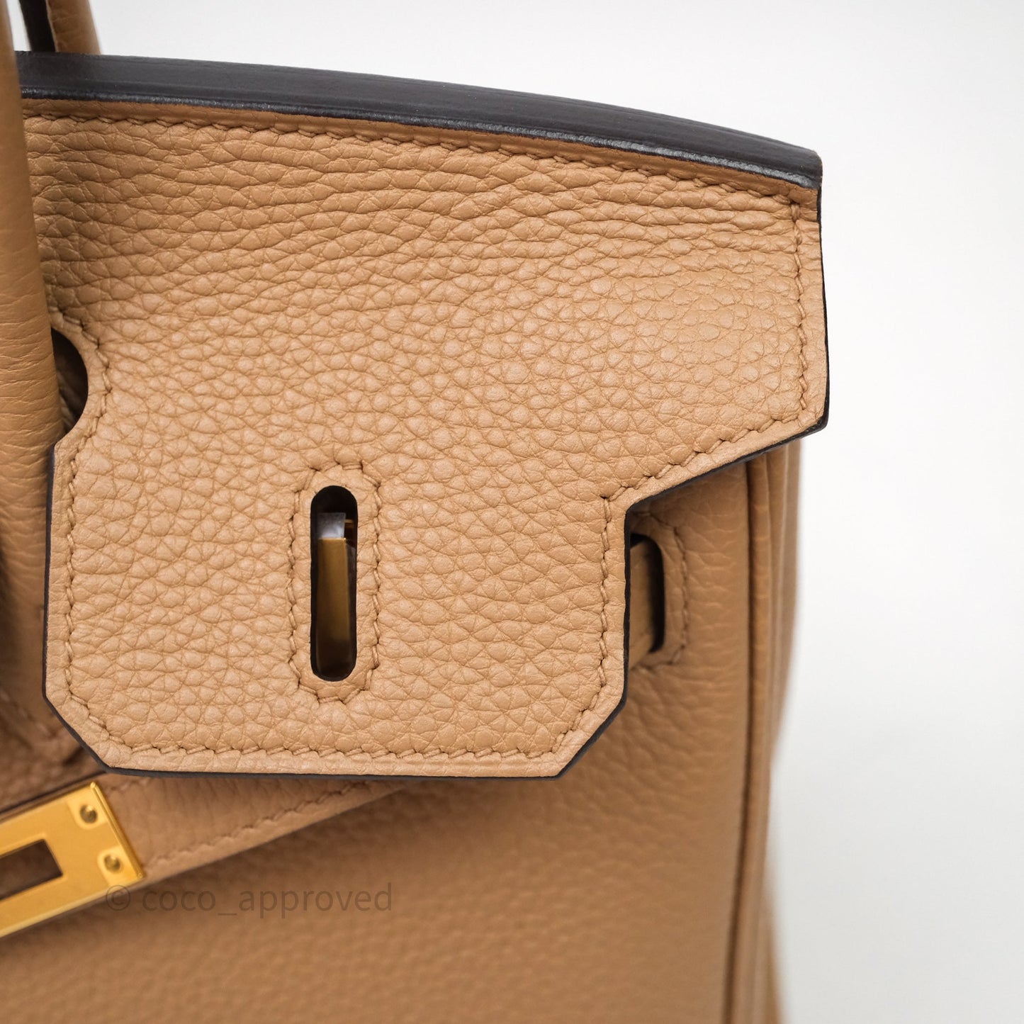 Hermes Birkin 25 Chai Togo Gold Hardware