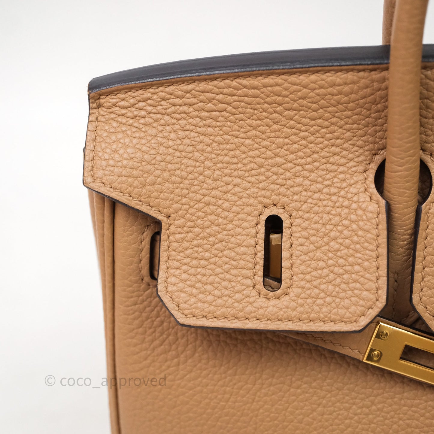 Hermes Birkin 25 Chai Togo Gold Hardware