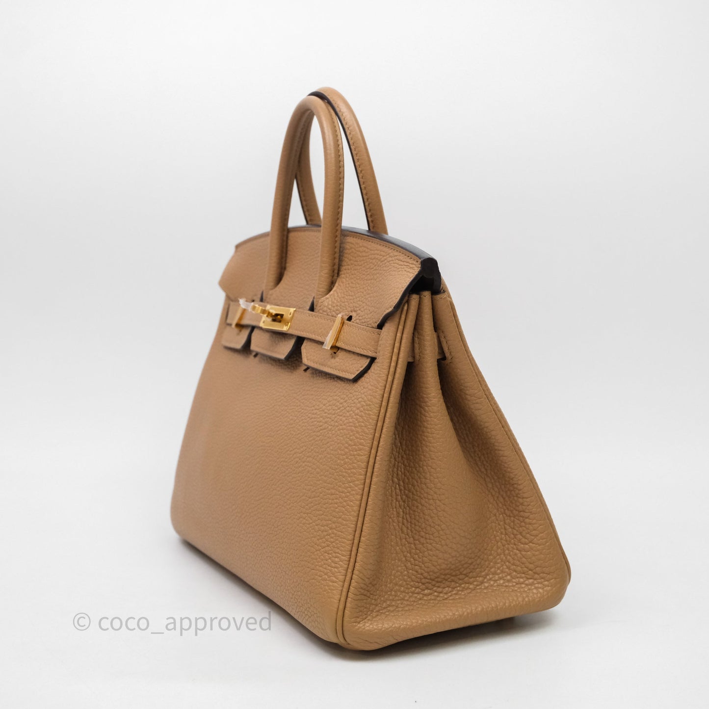 Hermes Birkin 25 Chai Togo Gold Hardware
