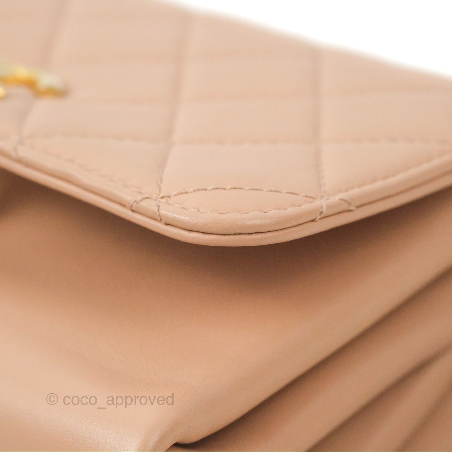 Chanel Pearl Chain Bag Nude Pink Calfskin Aged Gold Hardware