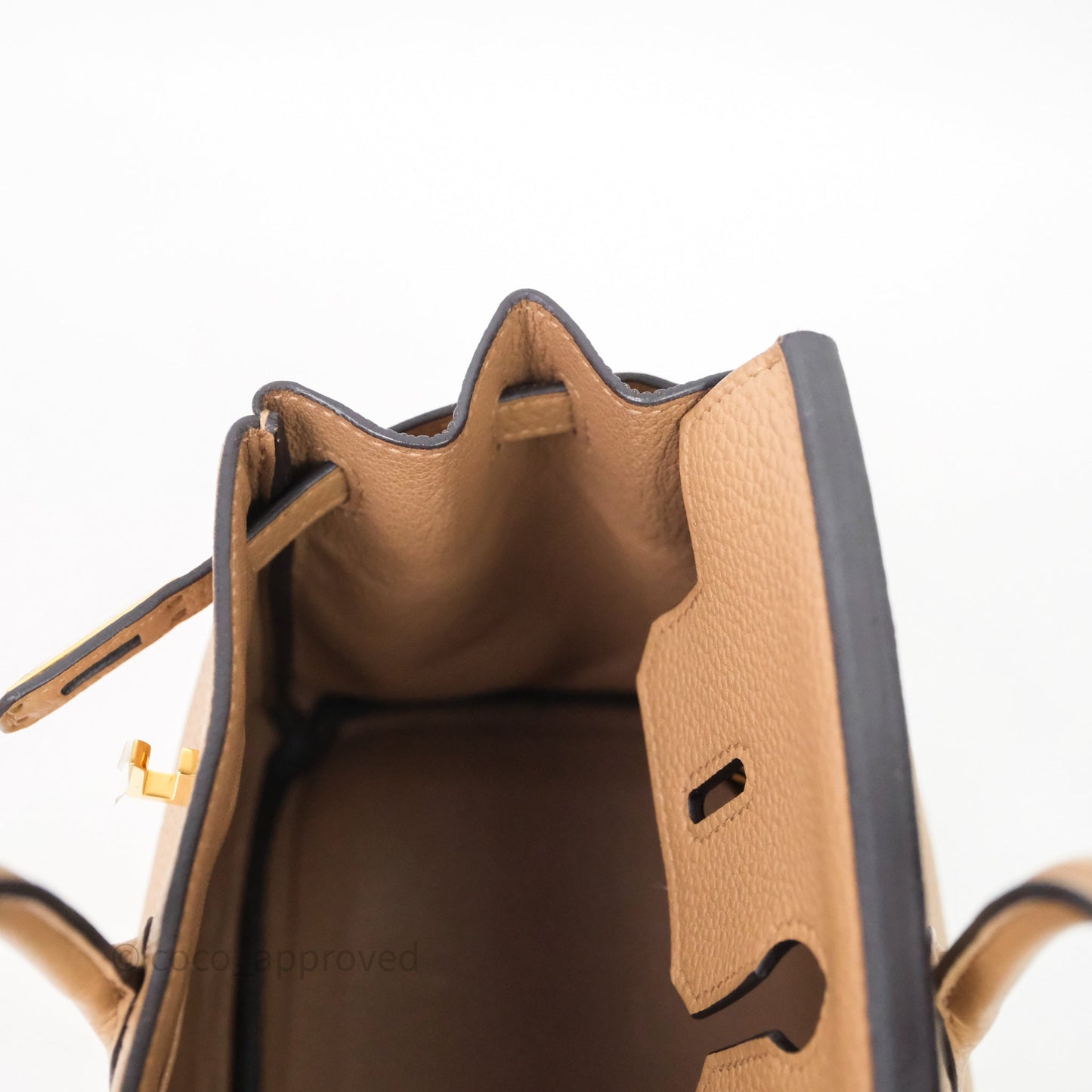 Hermes Birkin 25 Chai Togo Gold Hardware
