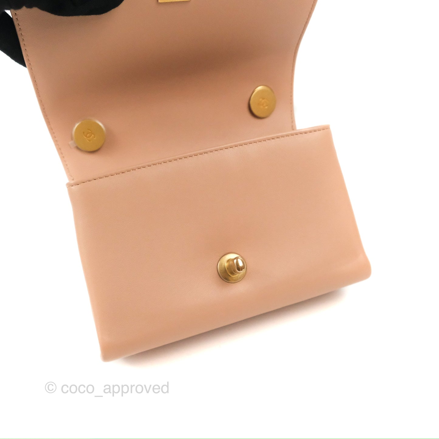 Chanel Pearl Chain Bag Nude Pink Calfskin Aged Gold Hardware