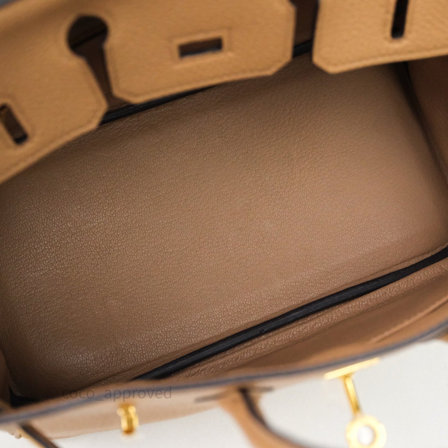 Hermes Birkin 25 Chai Togo Gold Hardware