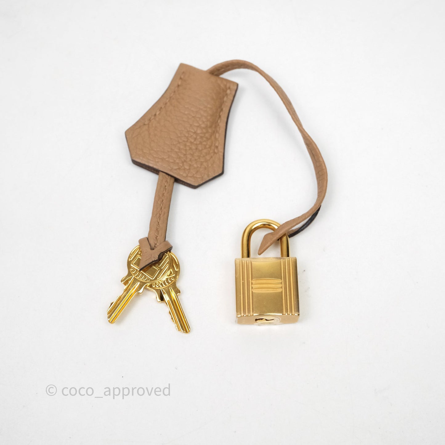 Hermes Birkin 25 Chai Togo Gold Hardware