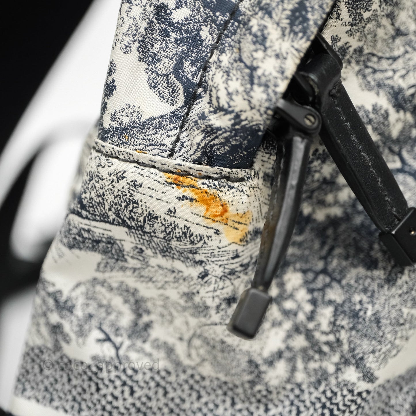 Christian Dior Toile De Jouy Diortravel Backpack White/ Blue Nylon