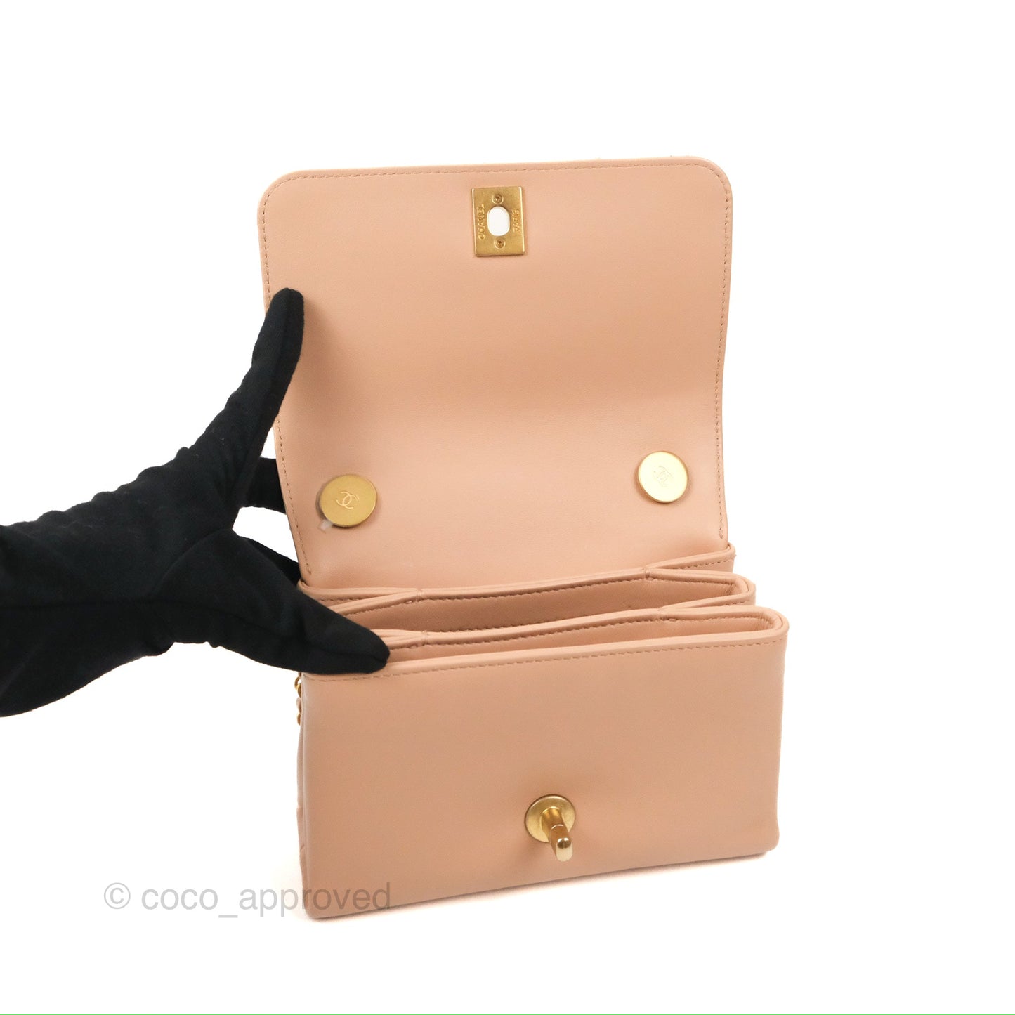 Chanel Pearl Chain Bag Nude Pink Calfskin Aged Gold Hardware