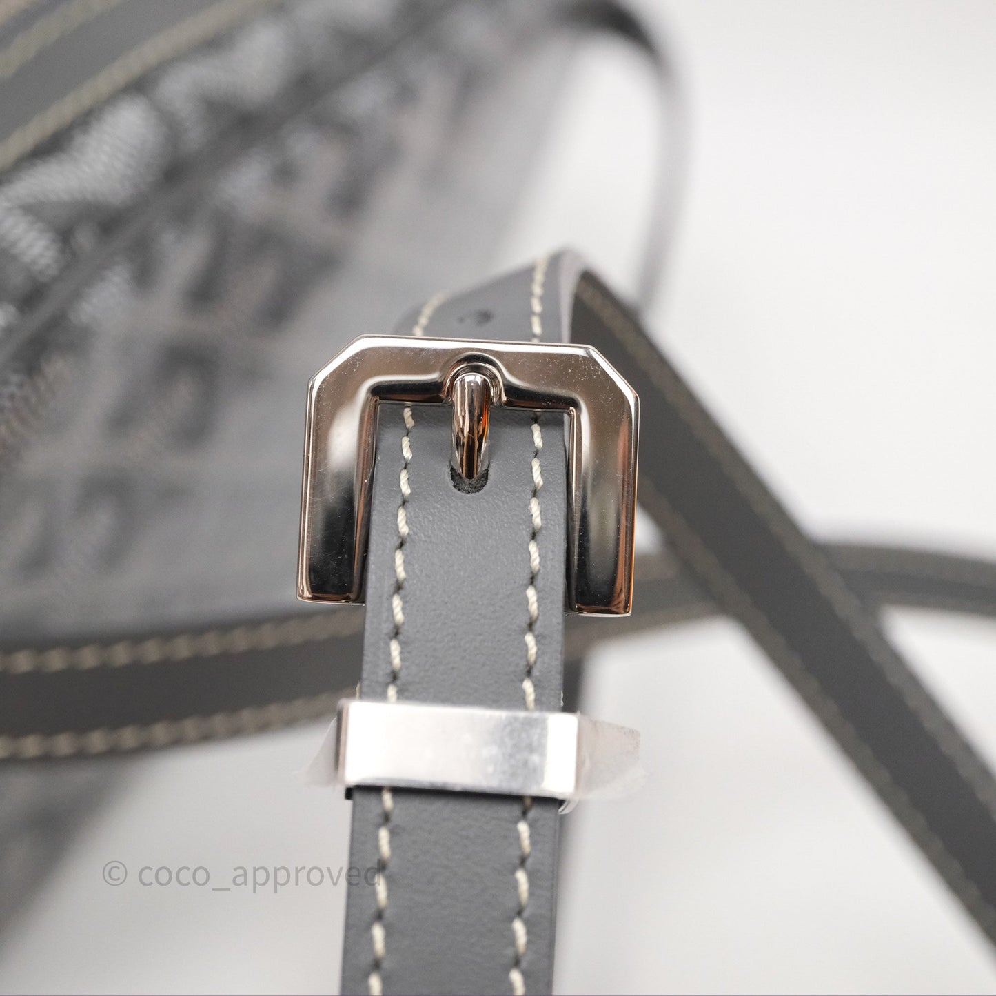 Goyard Cap-Vert PM Bag Grey Goyardine