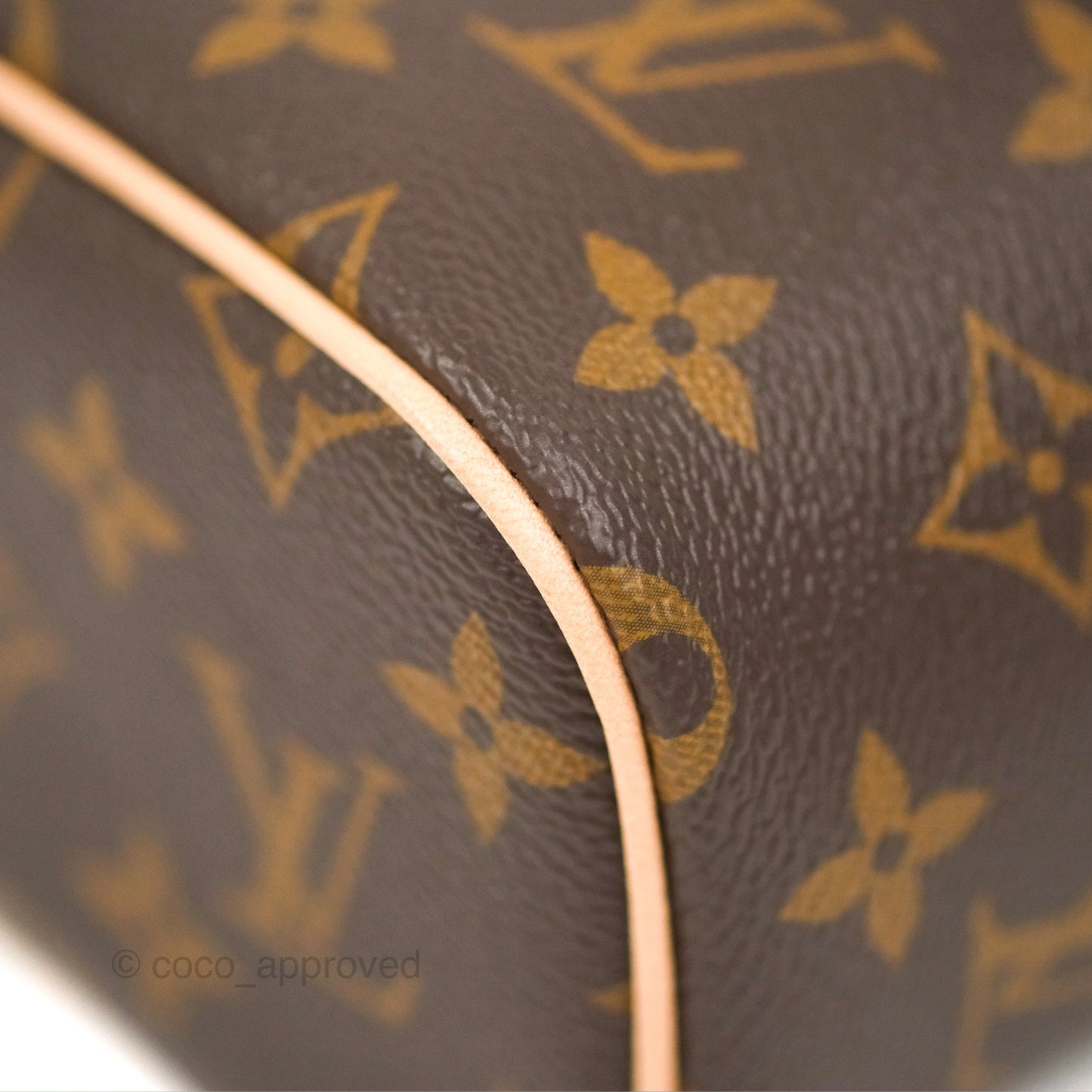 Louis Vuitton Nano Nice Monogram