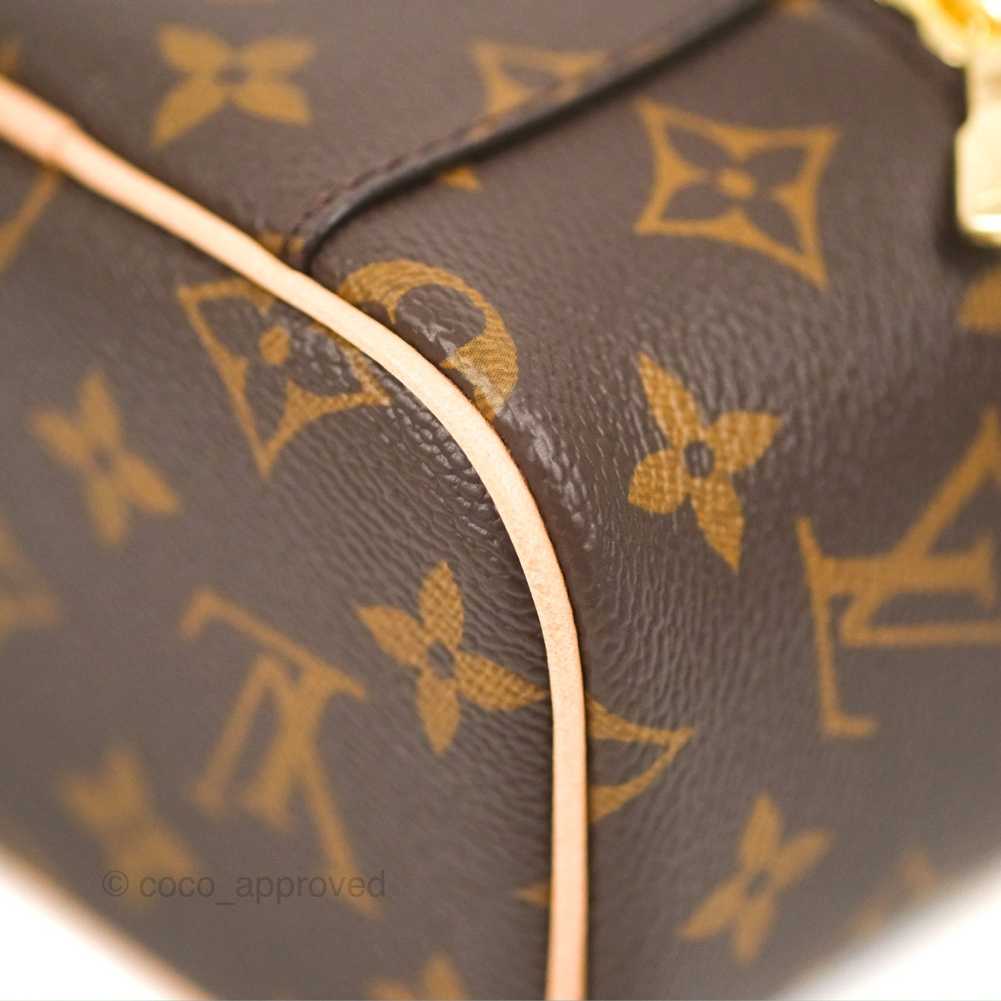 Louis Vuitton Nano Nice Monogram