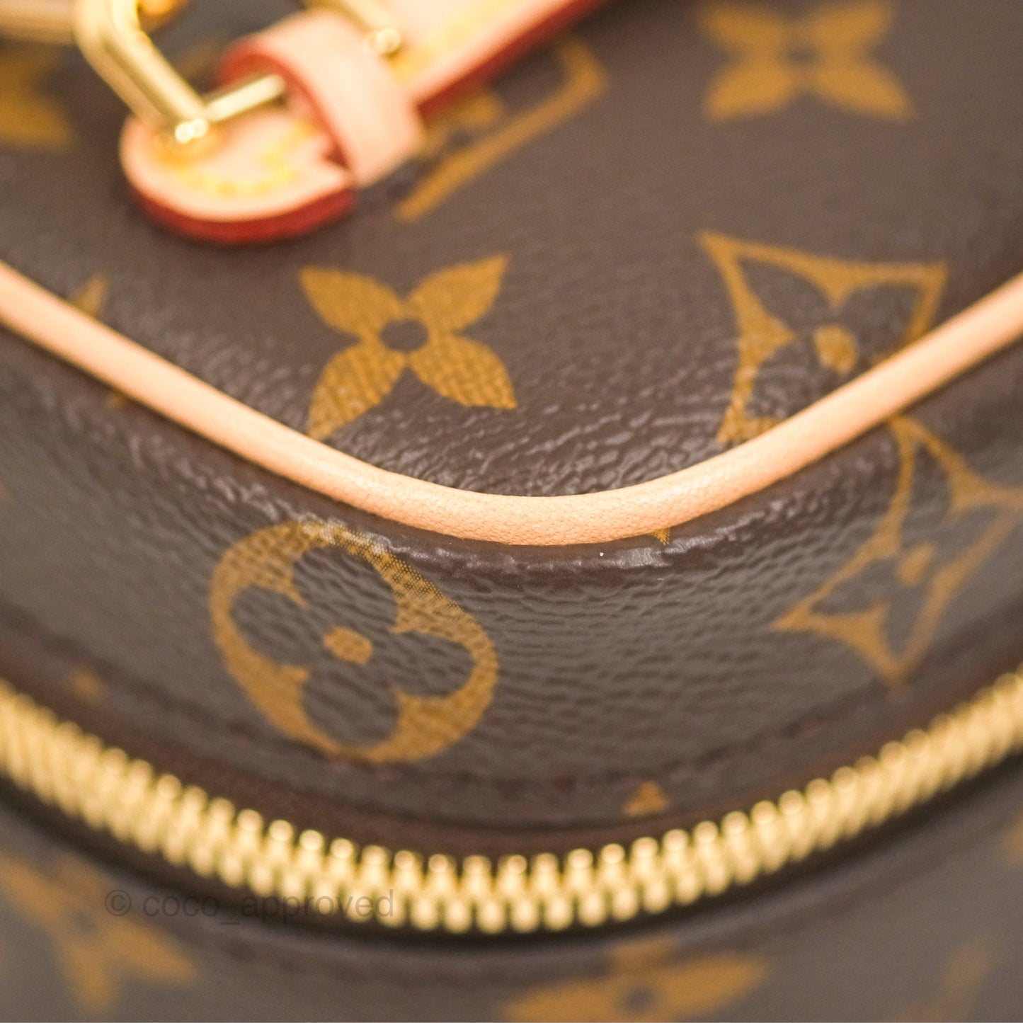 Louis Vuitton Nano Nice Monogram