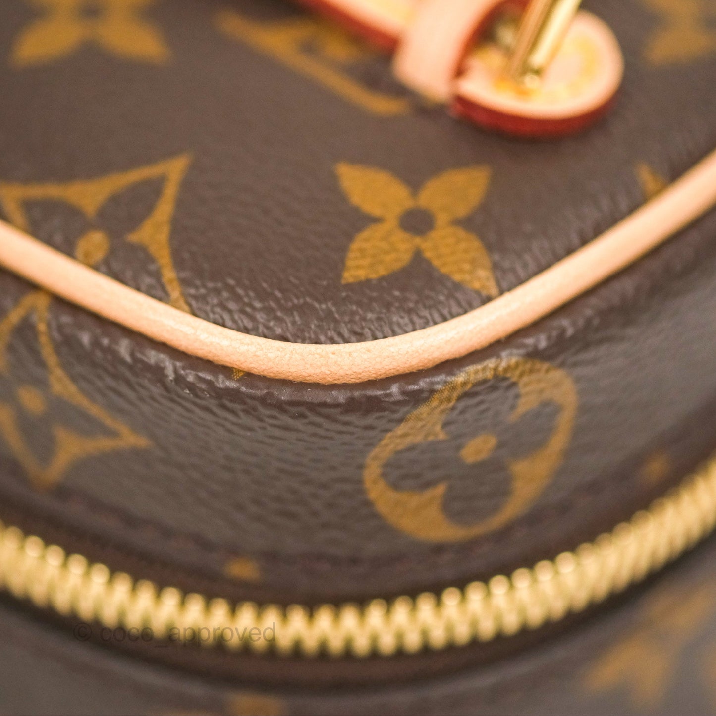 Louis Vuitton Nano Nice Monogram