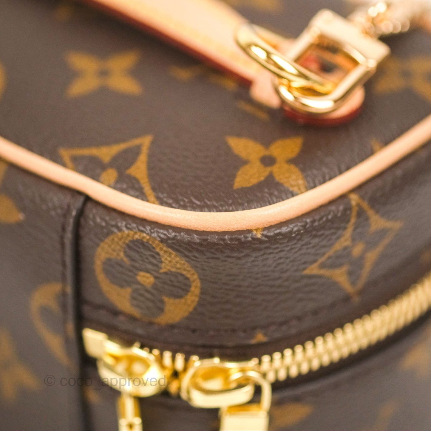 Louis Vuitton Nano Nice Monogram