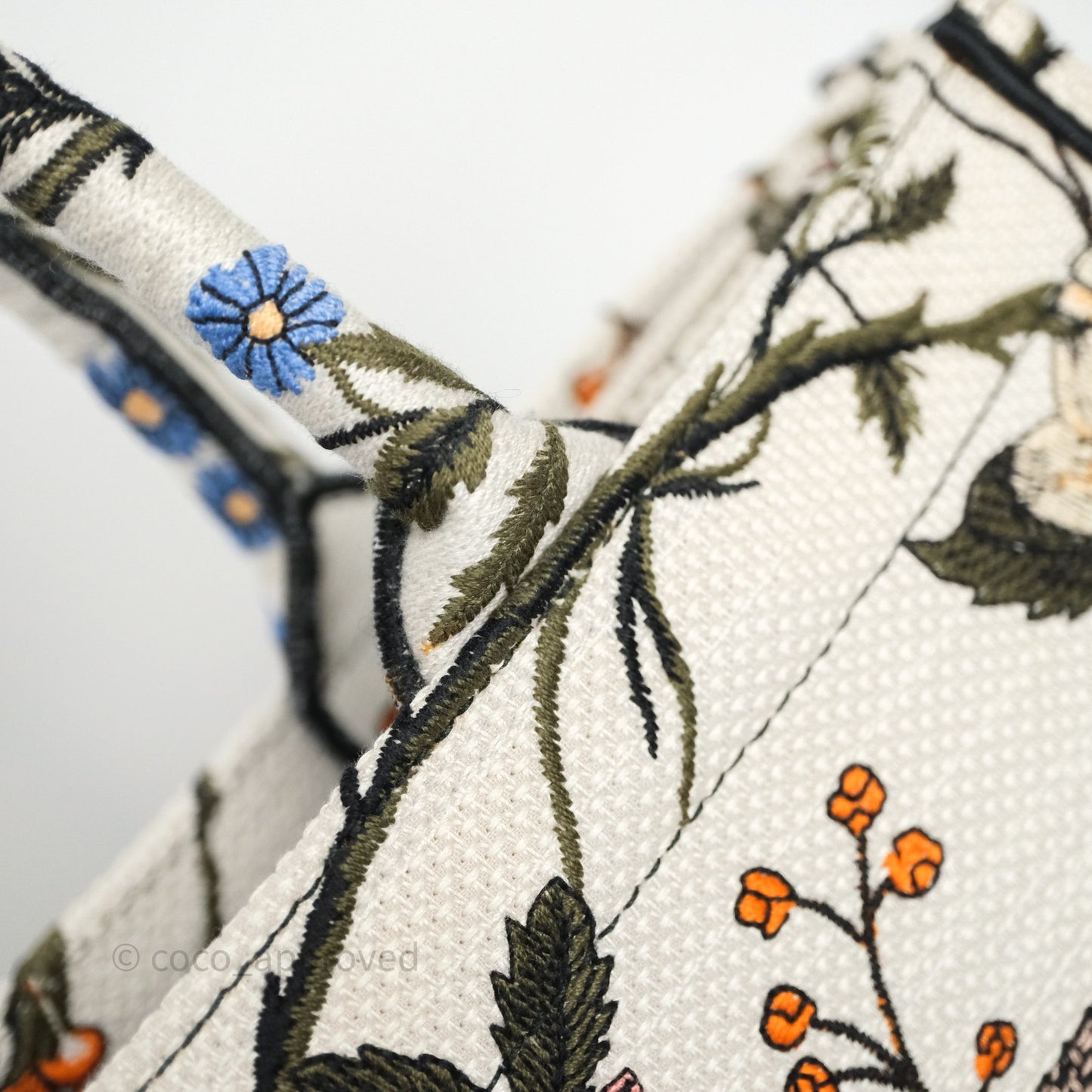Dior Medium Book Tote Rosa Mutabilis Embroidered Canvas