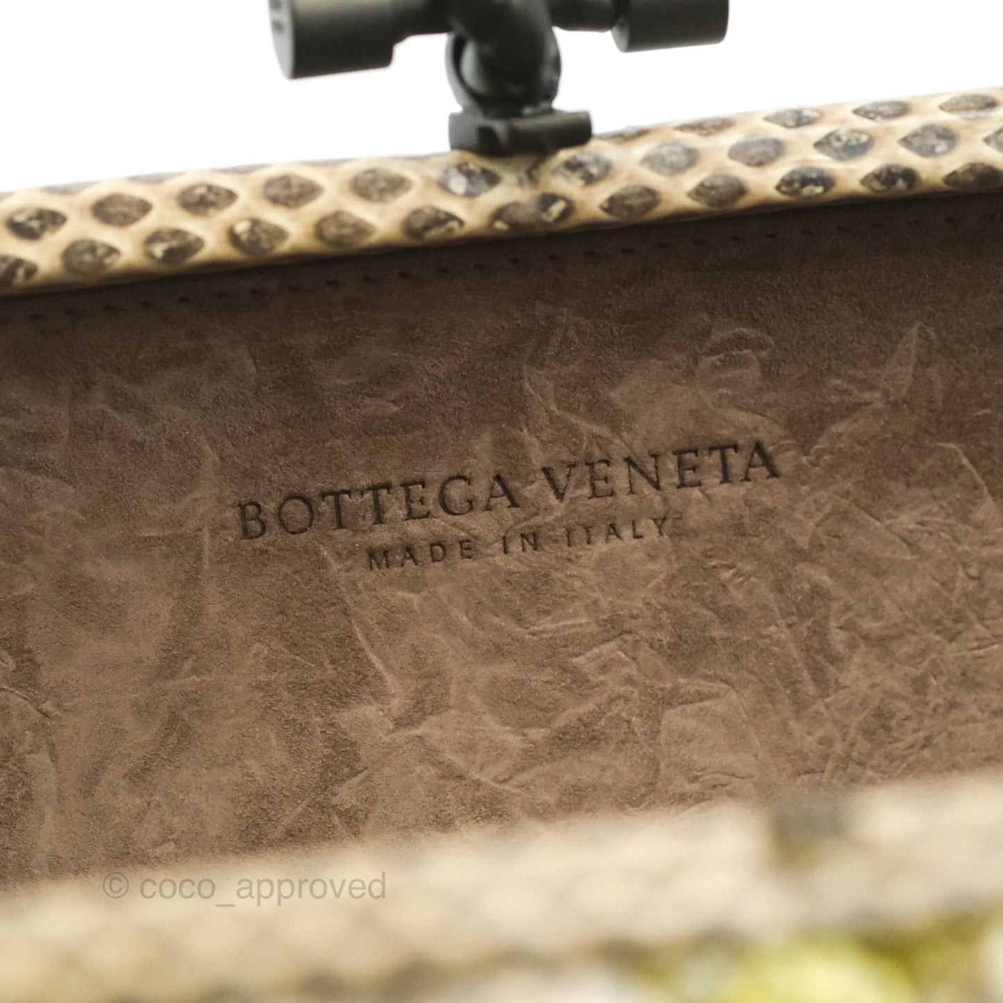 Bottega Veneta Ayers Intreccio Stretch Knot Clutch Python
