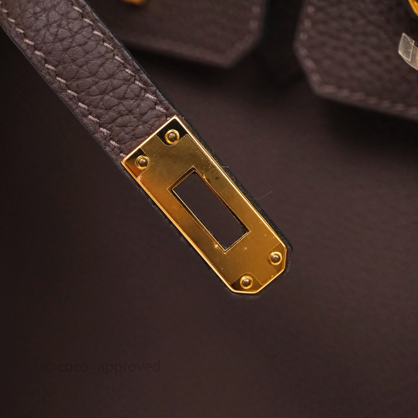 Hermes Birkin 25 Ebene Togo Gold Hardware
