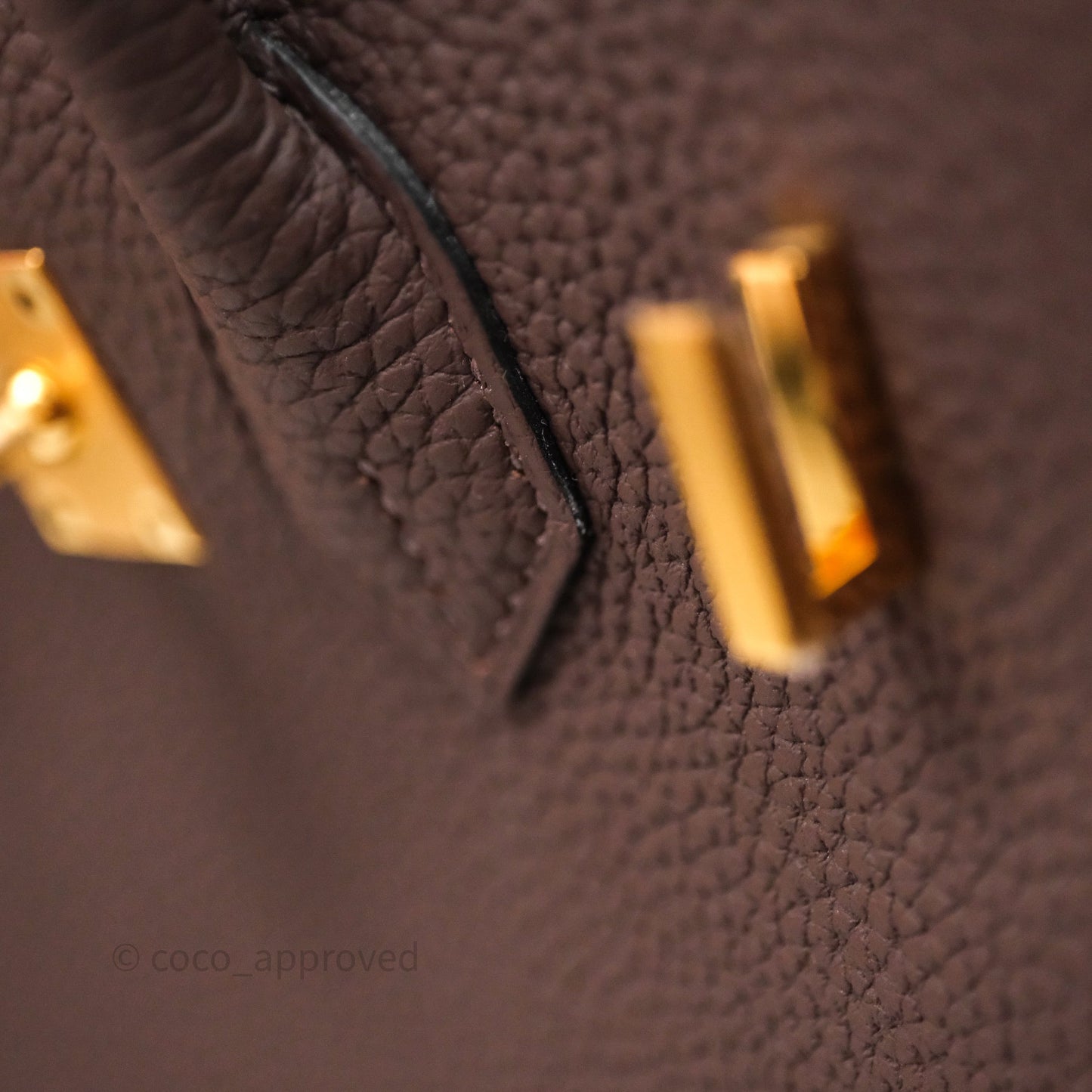 Hermes Birkin 25 Ebene Togo Gold Hardware