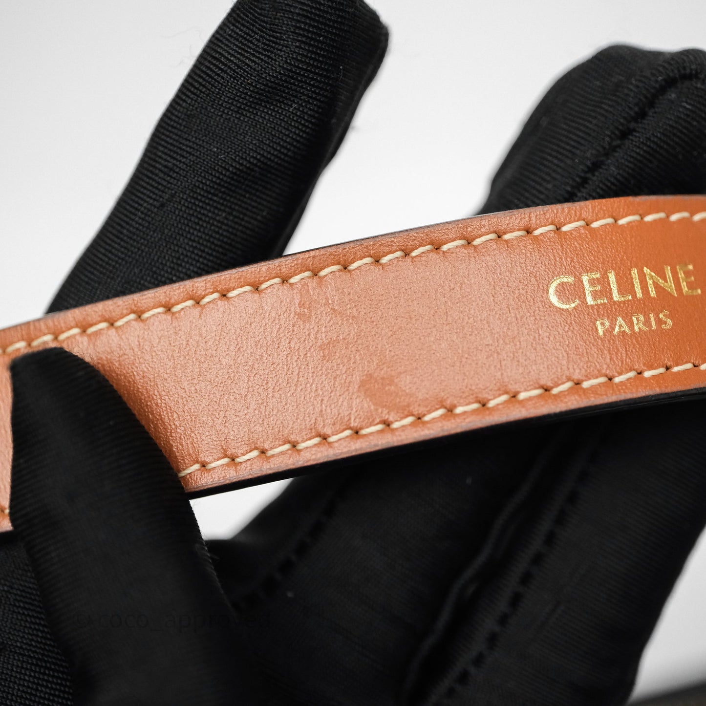 Celine Ava Bag In Triomphe Canvas Calfskin Tan