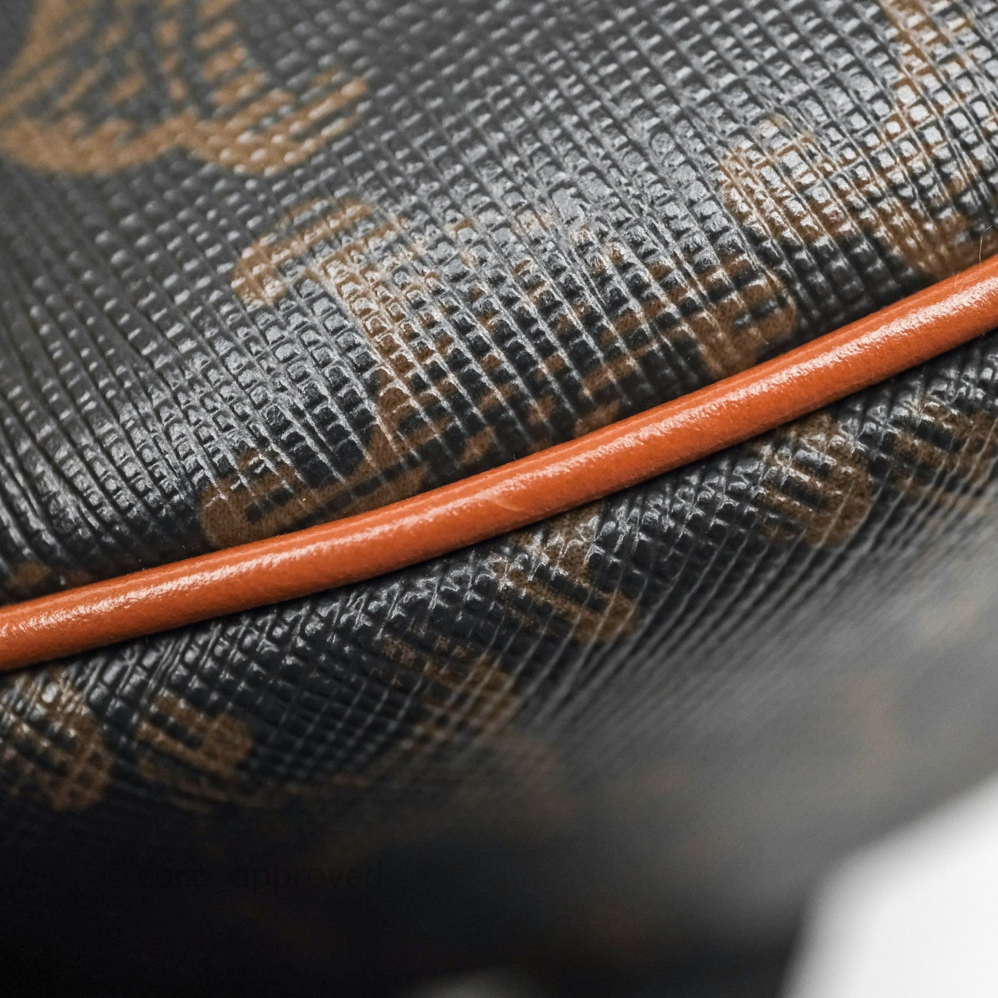 Celine Ava Bag In Triomphe Canvas Calfskin Tan