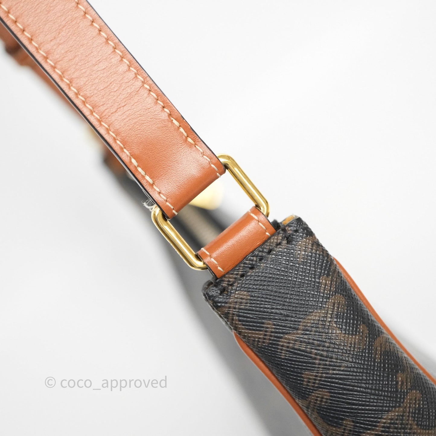 Celine Ava Bag In Triomphe Canvas Calfskin Tan