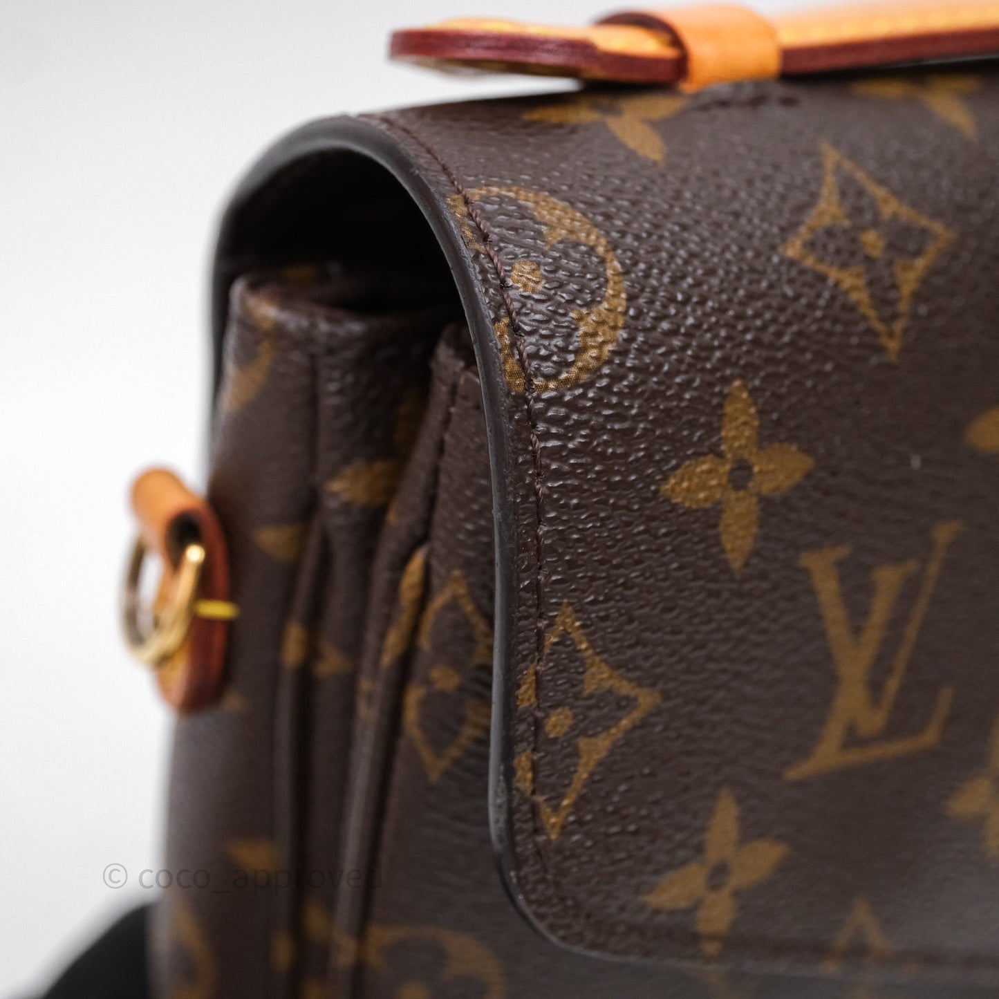 Louis Vuitton Pochette Metis Monogram Canvas