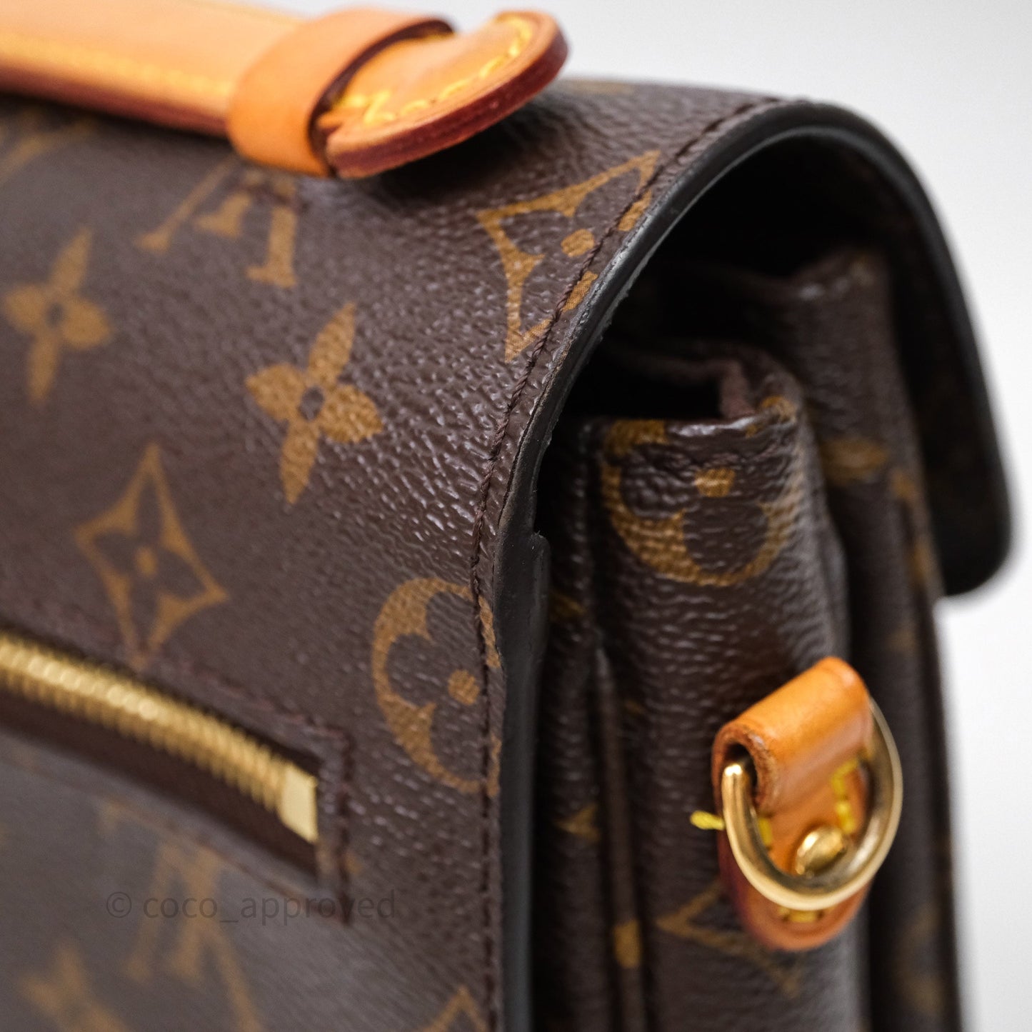 Louis Vuitton Pochette Metis Monogram Canvas