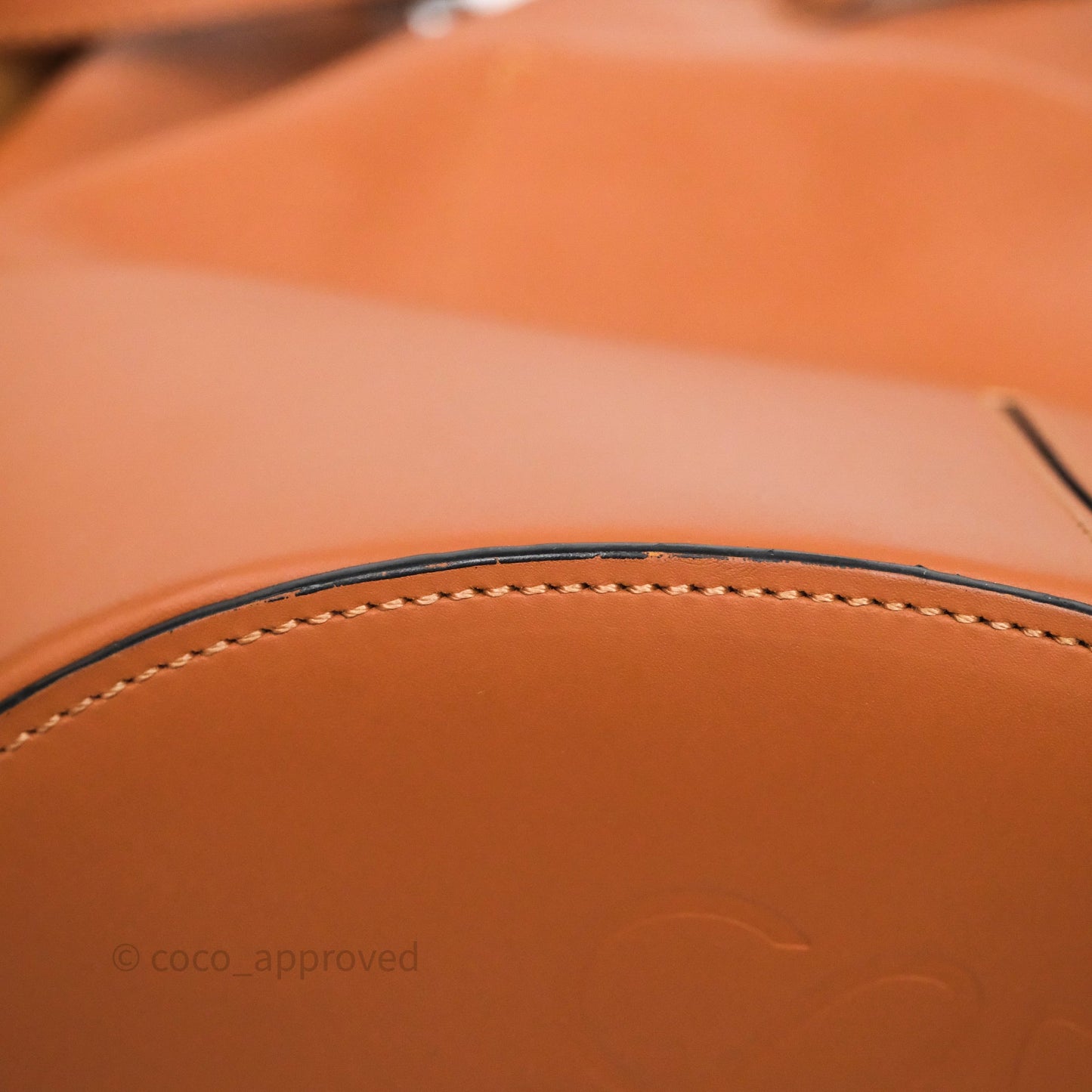 Loewe Medium Balloon Bucket Bag Tan Calfskin