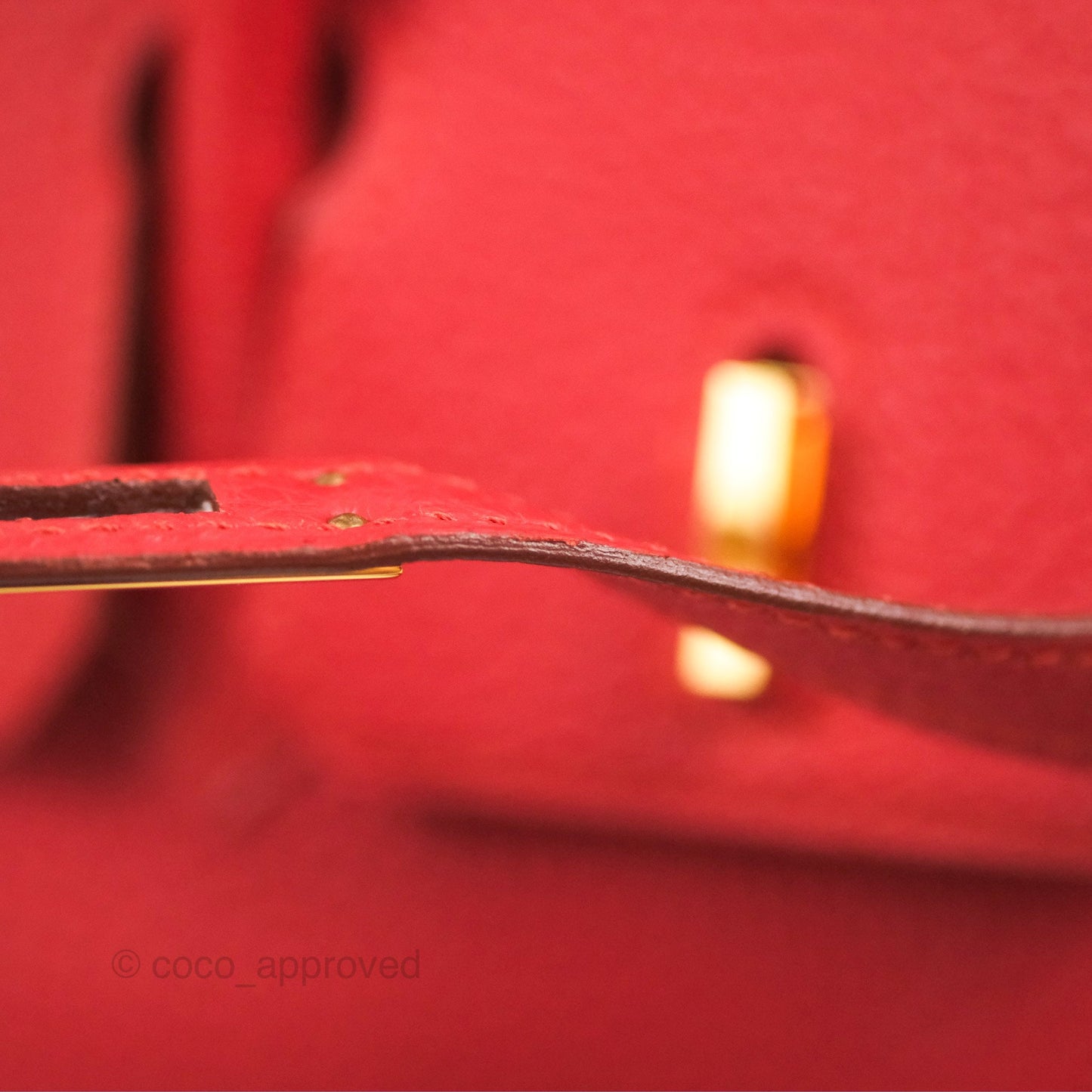 Hermes Birkin 25 Togo Rouge Vermillon Gold Hardware