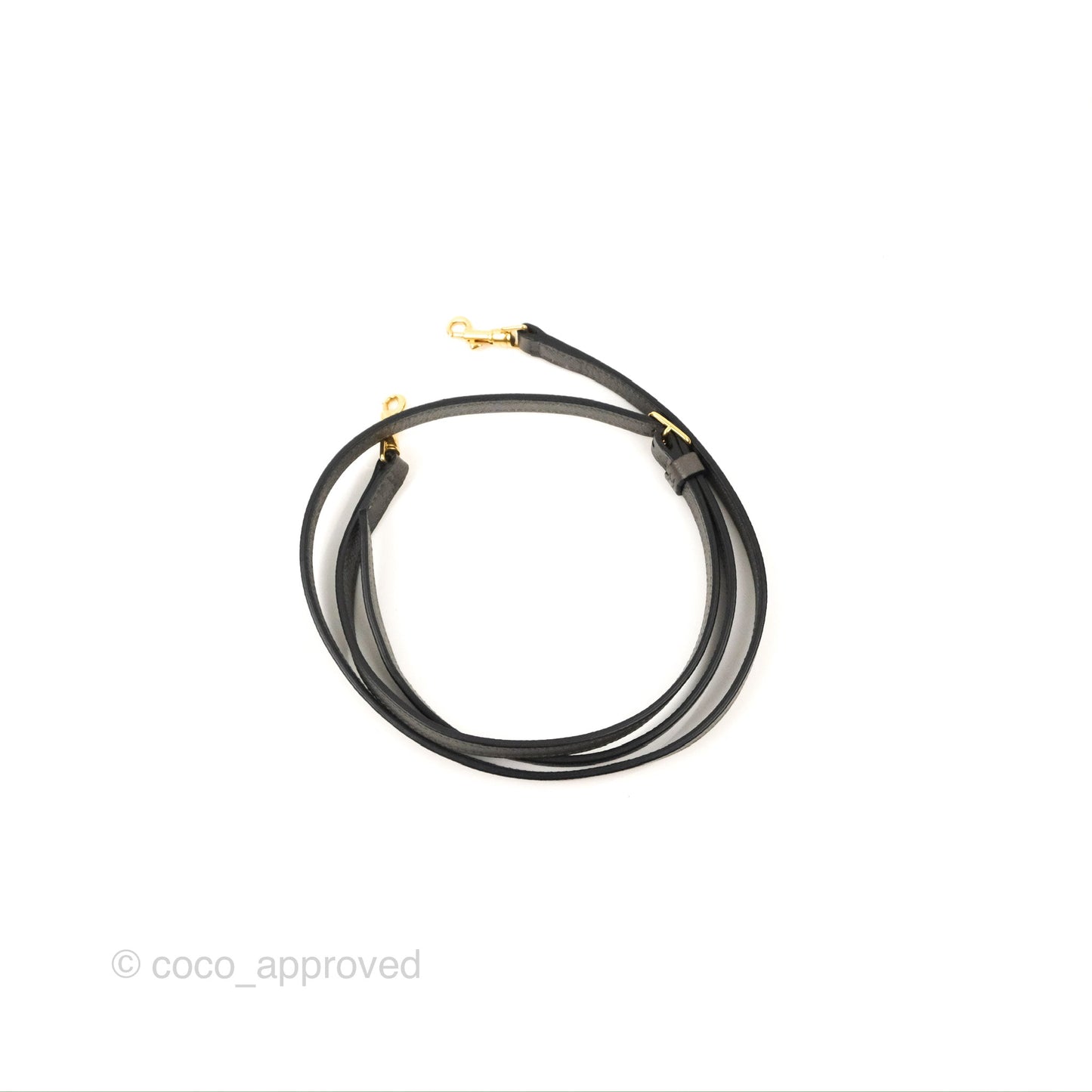 Celine Nano Belt Bag Grey Grained Calfskin Gold Hardware