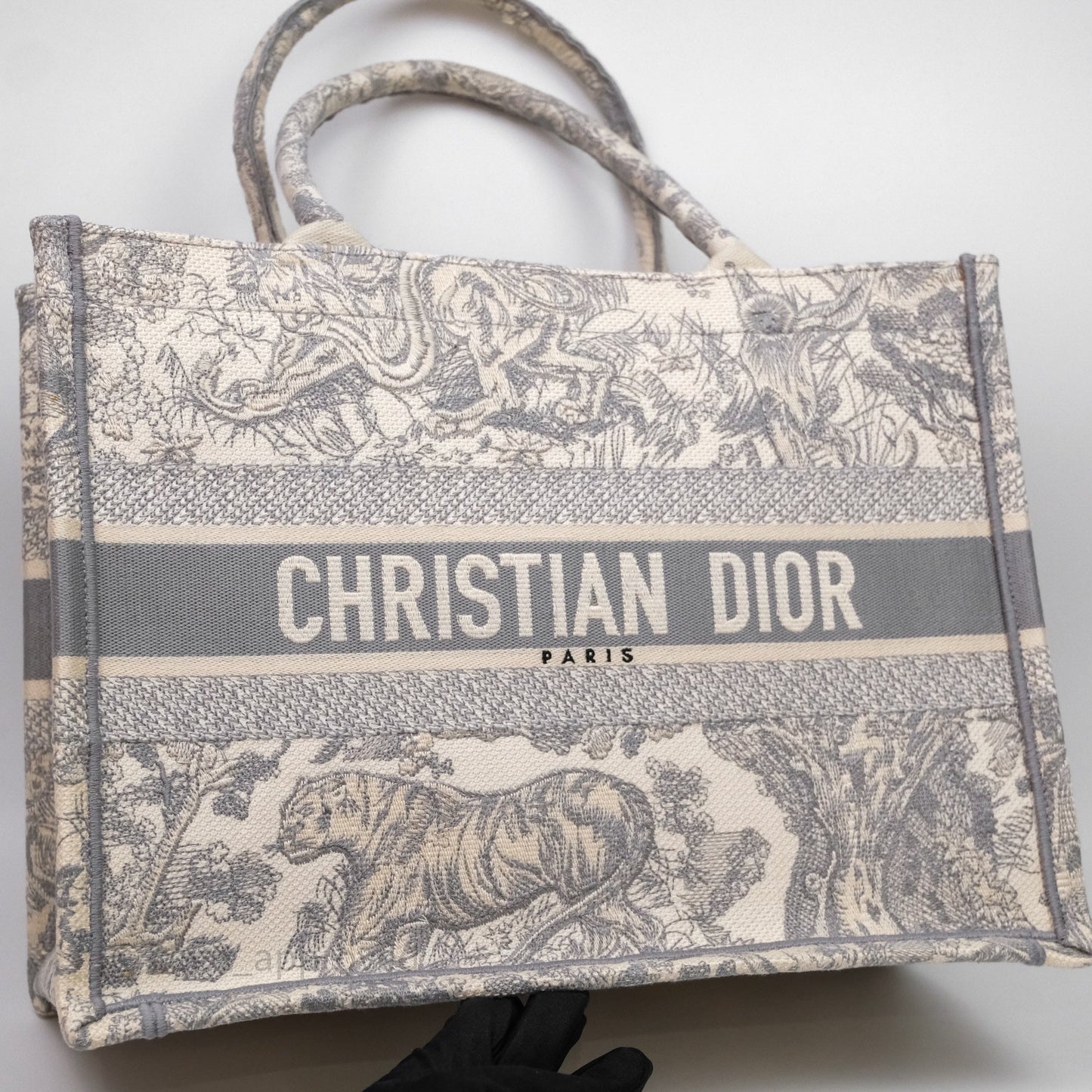 Christian Dior Medium (Old Small) Embroidered Toile De Jouy Light Grey Canvas Book Tote
