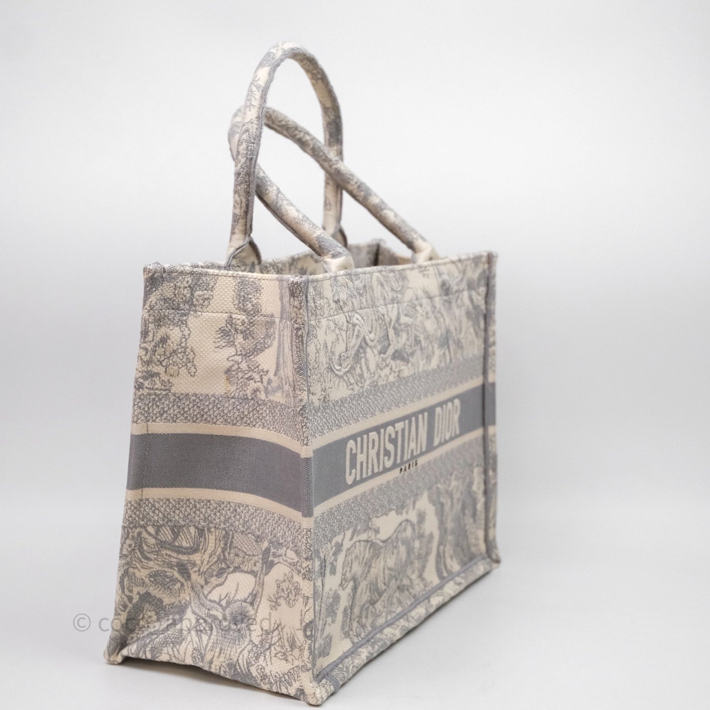 Christian Dior Medium (Old Small) Embroidered Toile De Jouy Light Grey Canvas Book Tote
