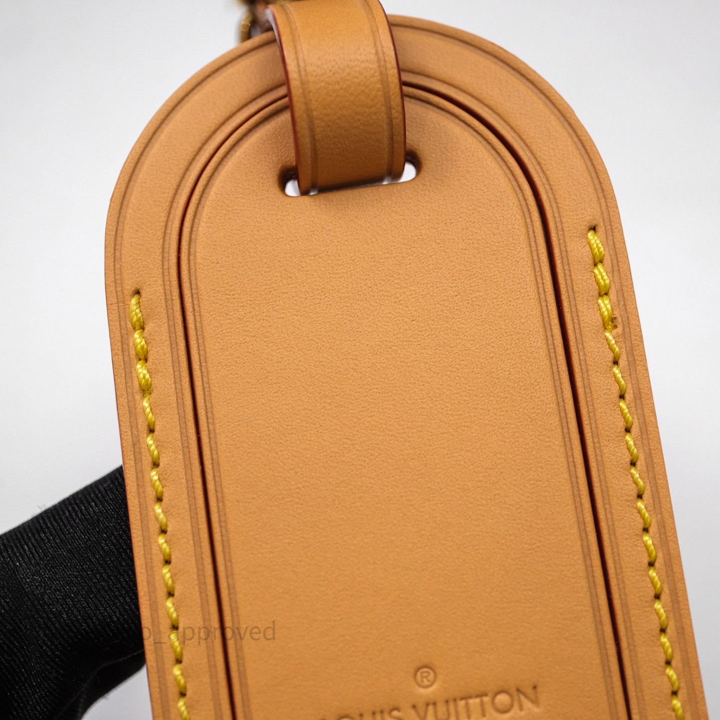 Louis Vuitton Speedy P9 Bandoulière 25 Turquoise