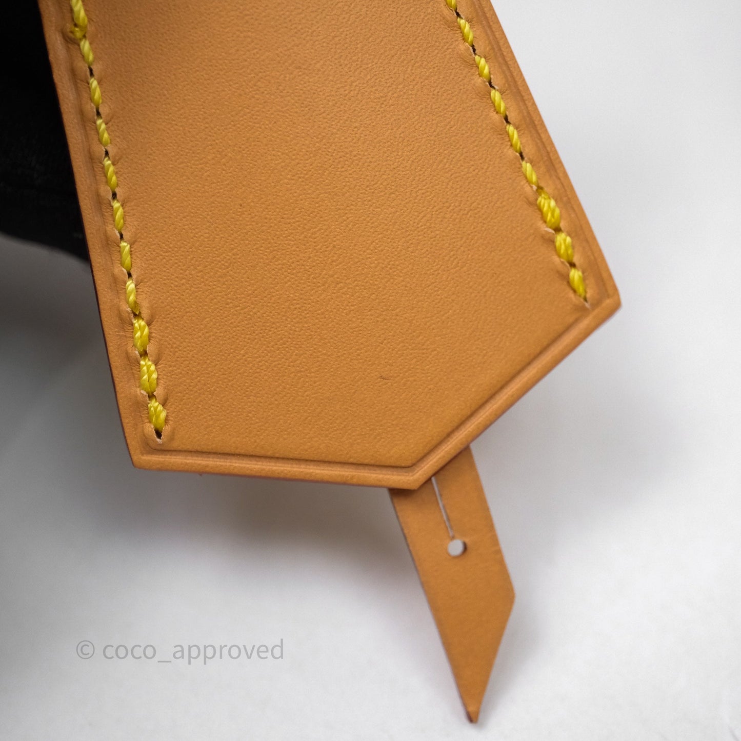Louis Vuitton Speedy P9 Bandoulière 25 Turquoise