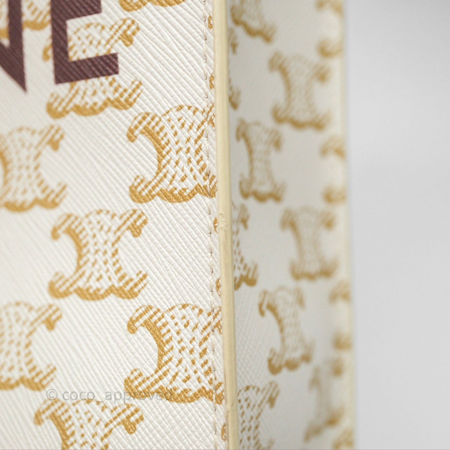 Celine Mini Vertical Cabas Bag Triomphe Canvas White