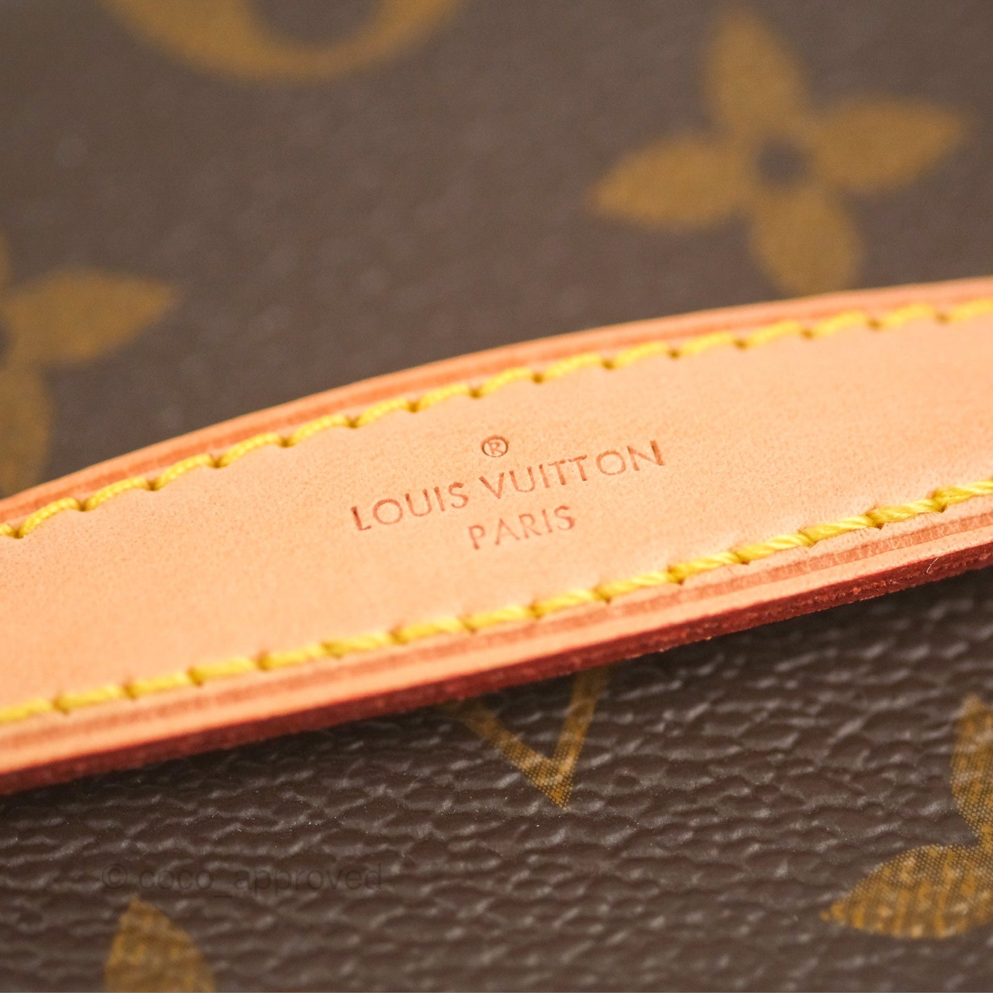 Louis Vuitton Nano Nice Monogram