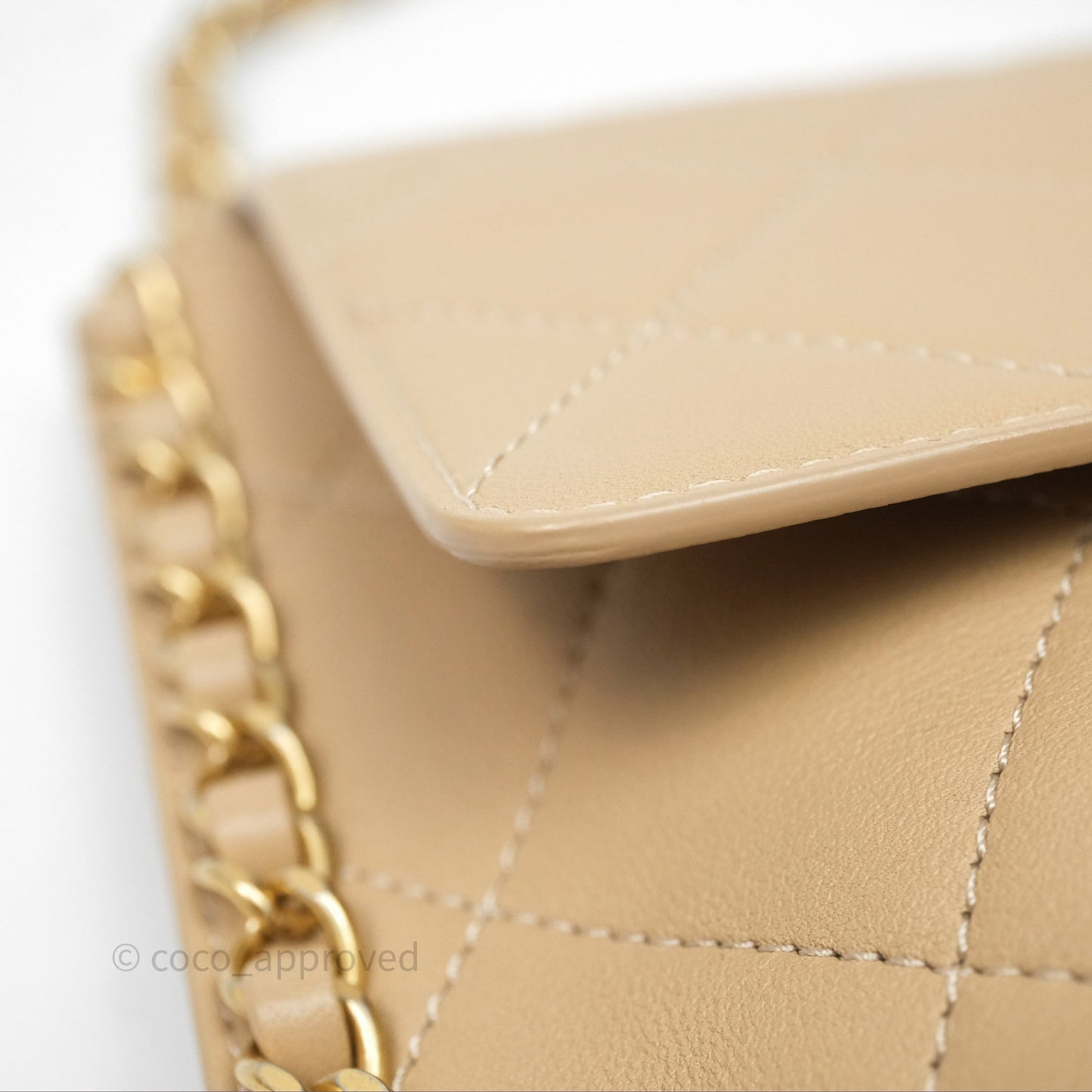 Chanel Small Hobo Bag Beige Calfskin Aged Gold Hardware