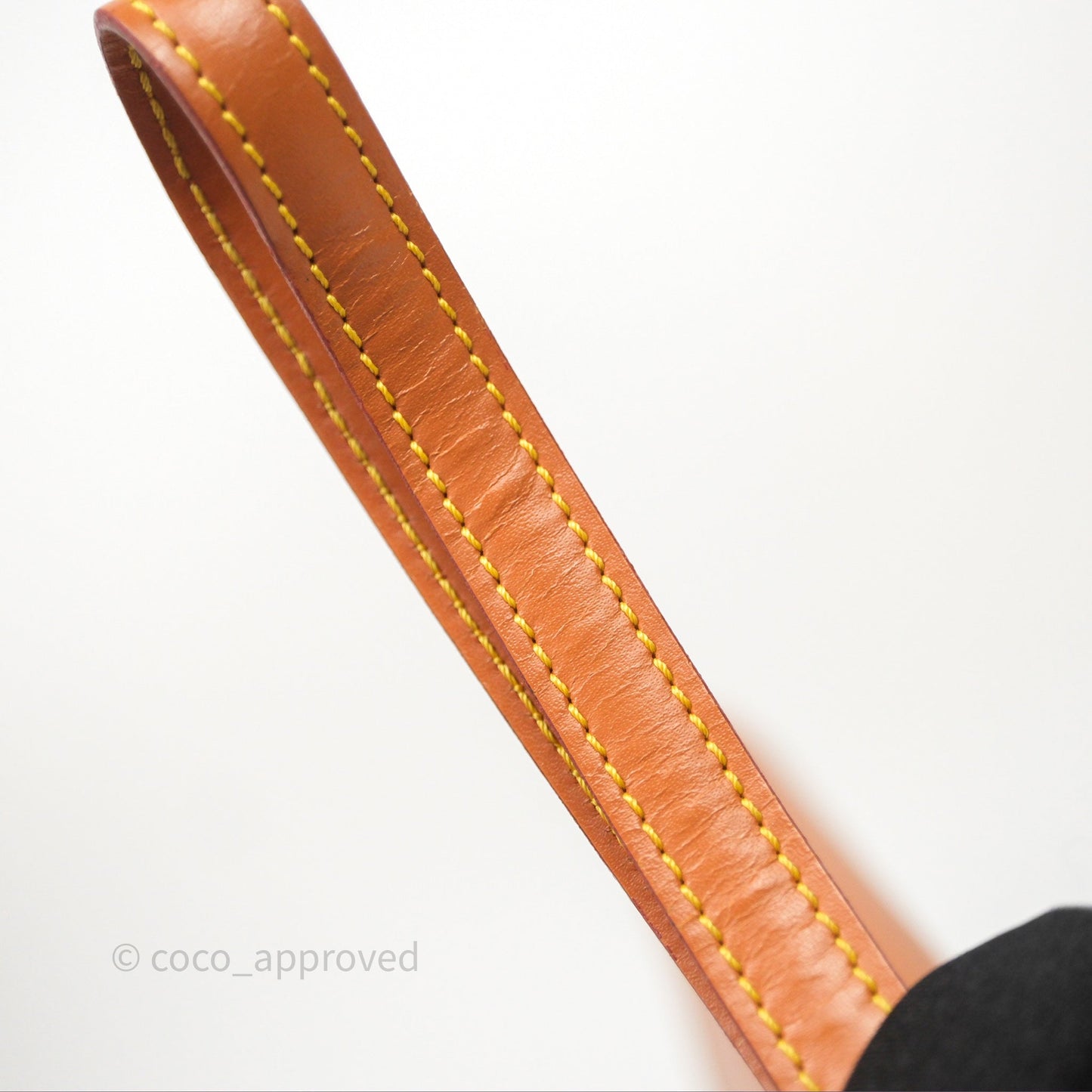 Louis Vuitton Epi Dragonne Clutch Brown Gold Hardware