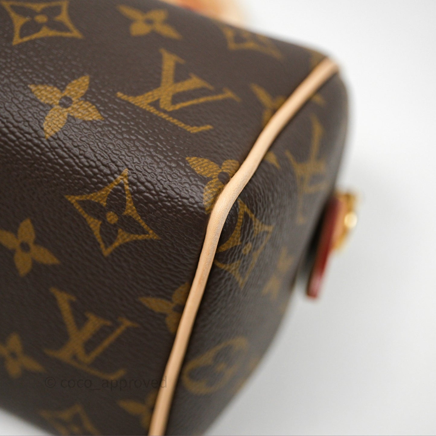 Louis Vuitton Speedy Bandoulière 20 Monogram