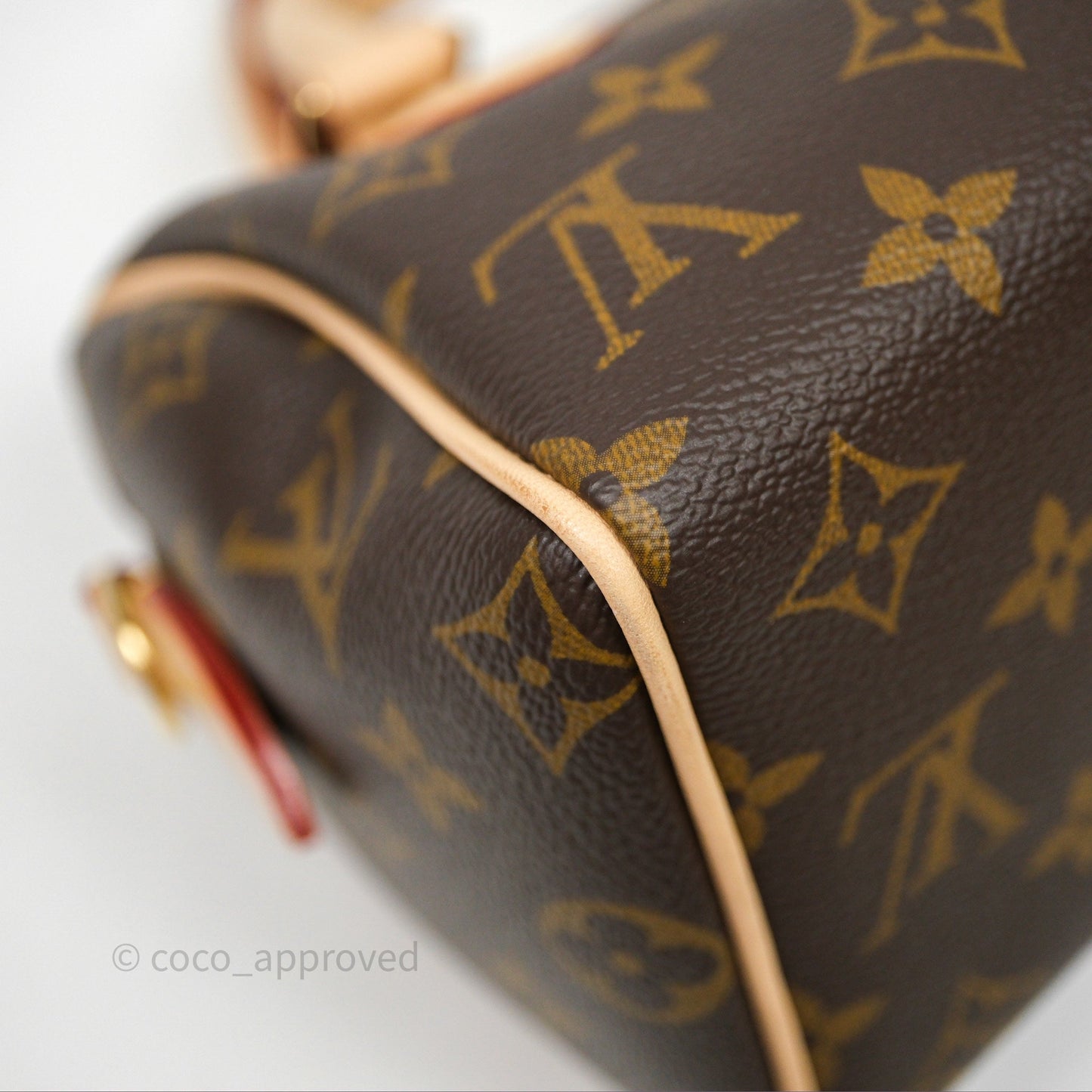 Louis Vuitton Speedy Bandoulière 20 Monogram