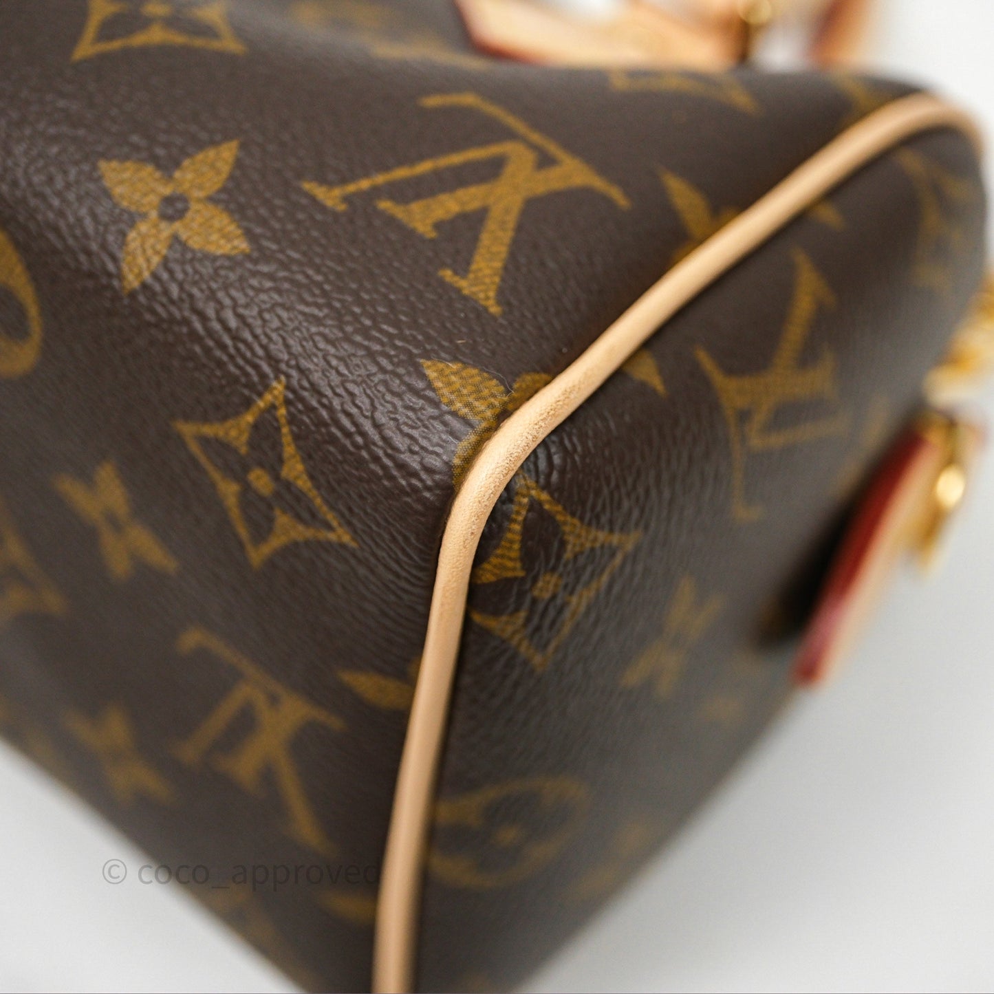 Louis Vuitton Speedy Bandoulière 20 Monogram