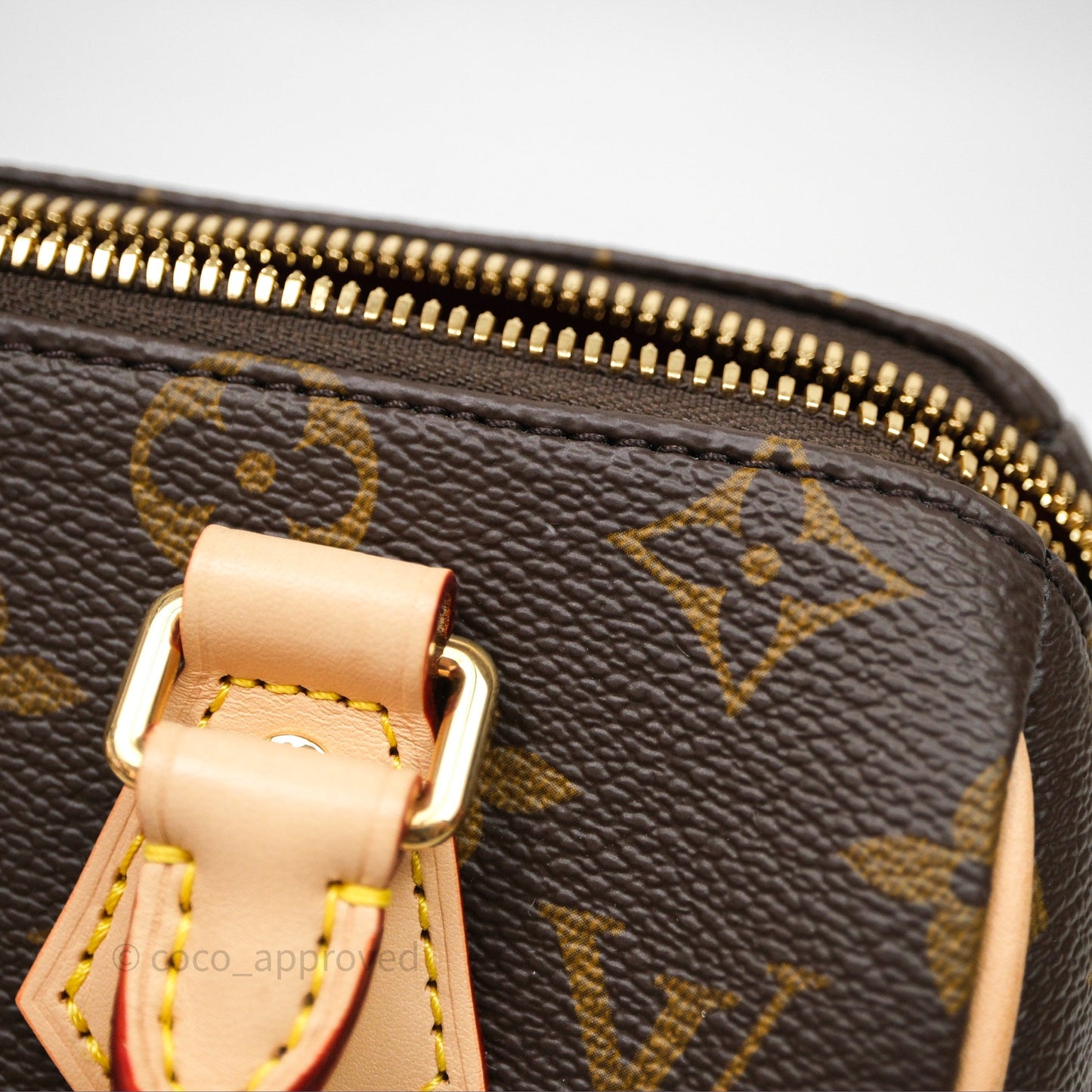Louis Vuitton Speedy Bandoulière 20 Monogram