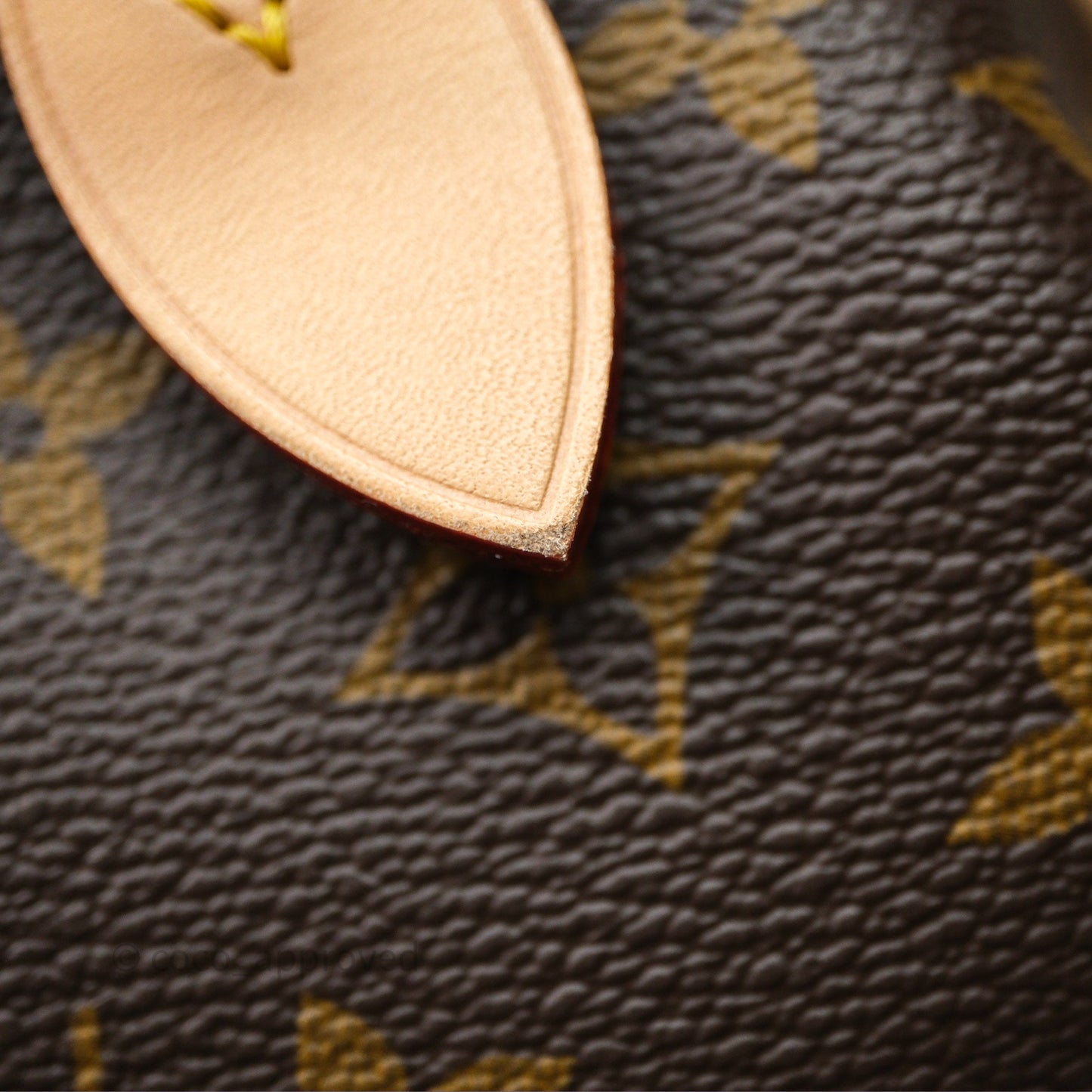 Louis Vuitton Speedy Bandoulière 20 Monogram