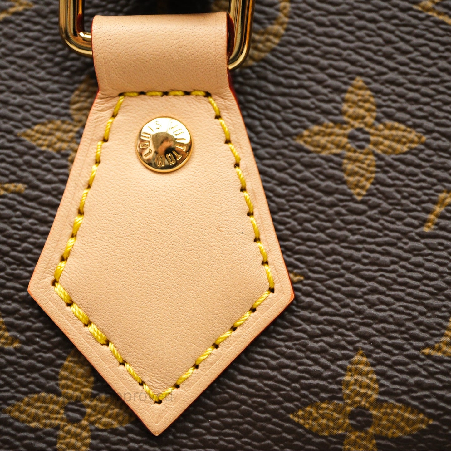 Louis Vuitton Speedy Bandoulière 20 Monogram