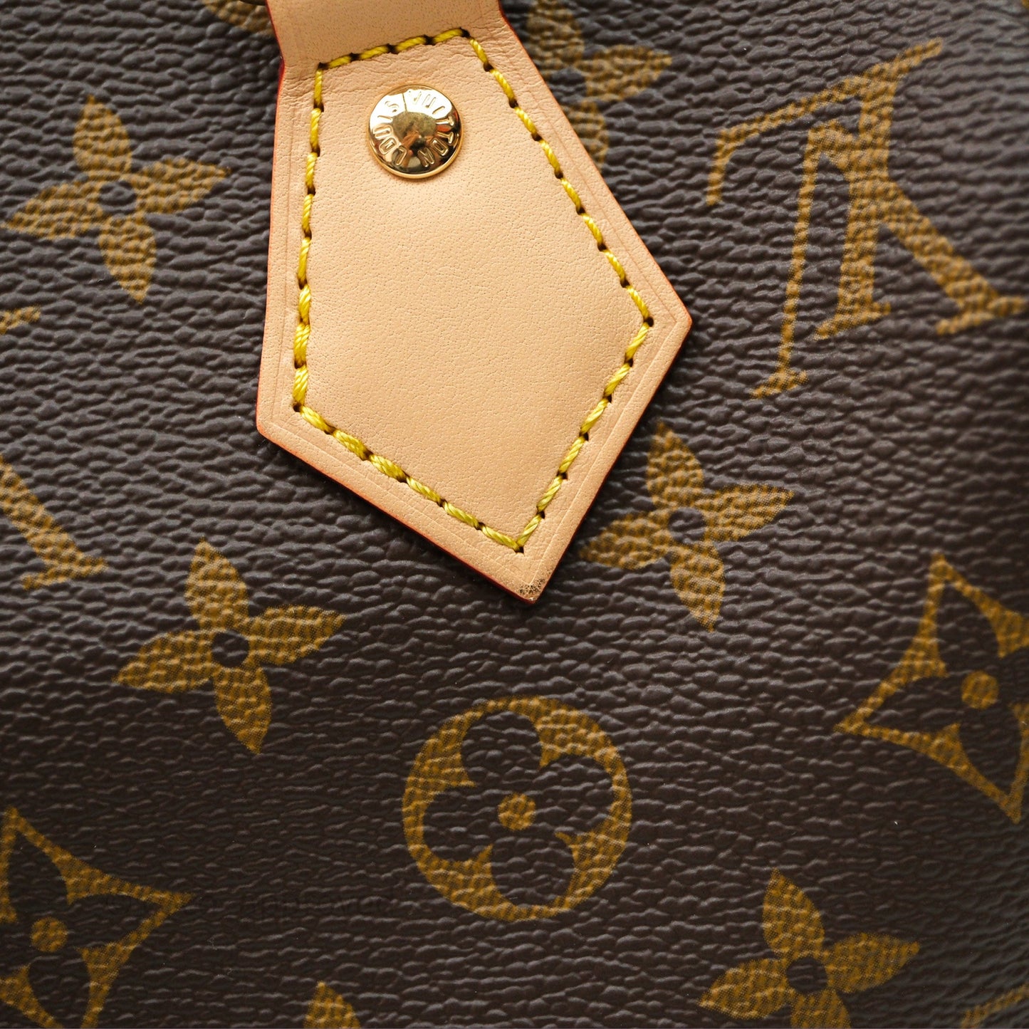 Louis Vuitton Speedy Bandoulière 20 Monogram