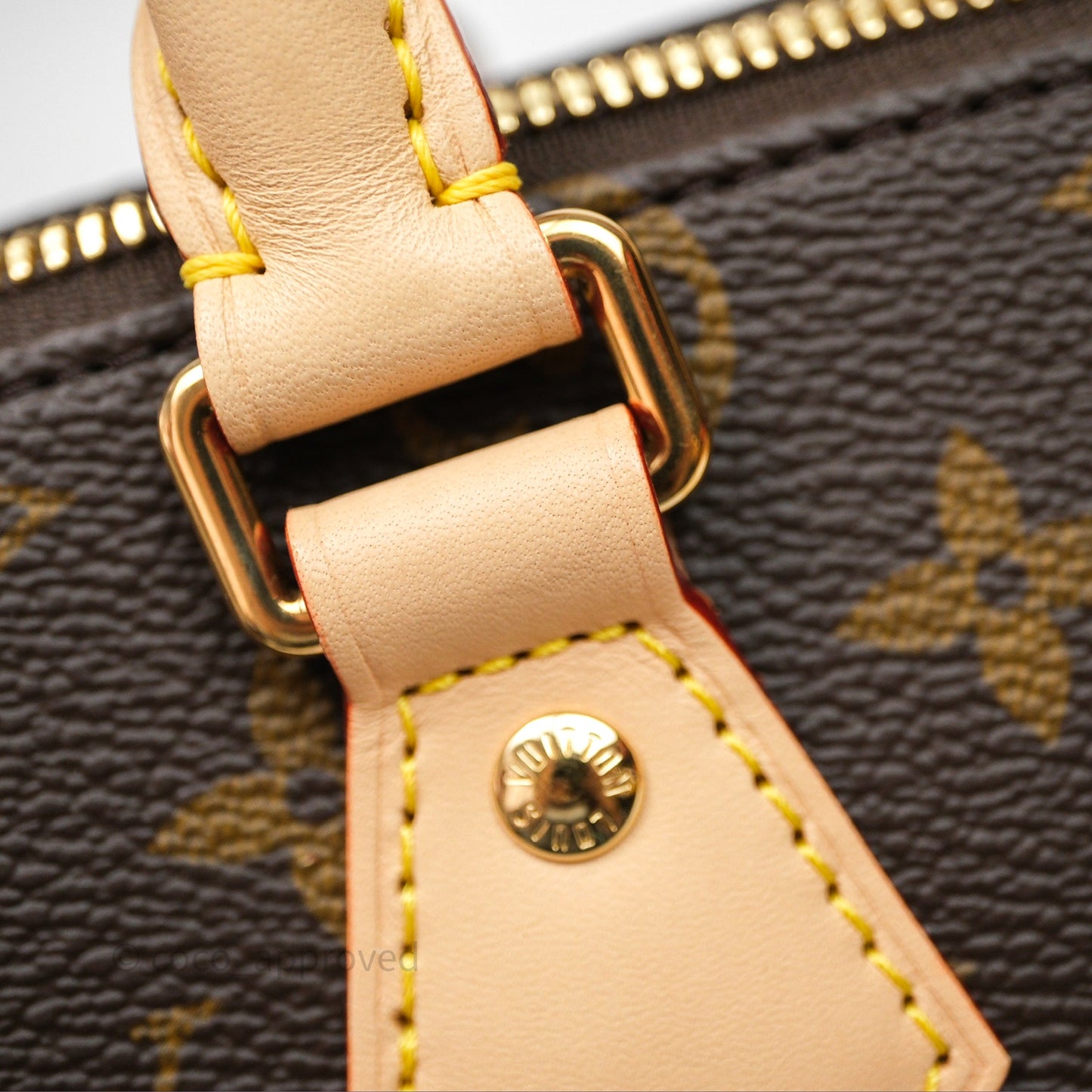 Louis Vuitton Speedy Bandoulière 20 Monogram