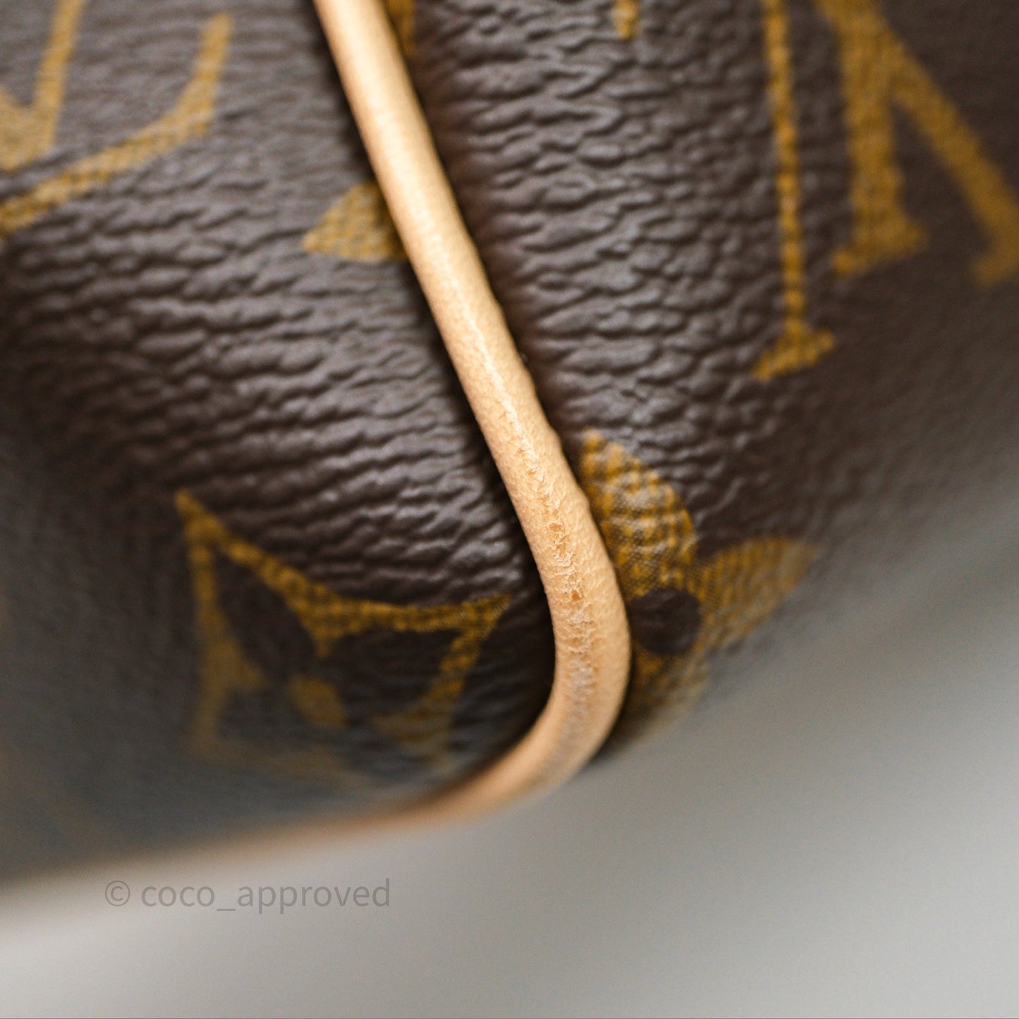 Louis Vuitton Speedy Bandoulière 20 Monogram